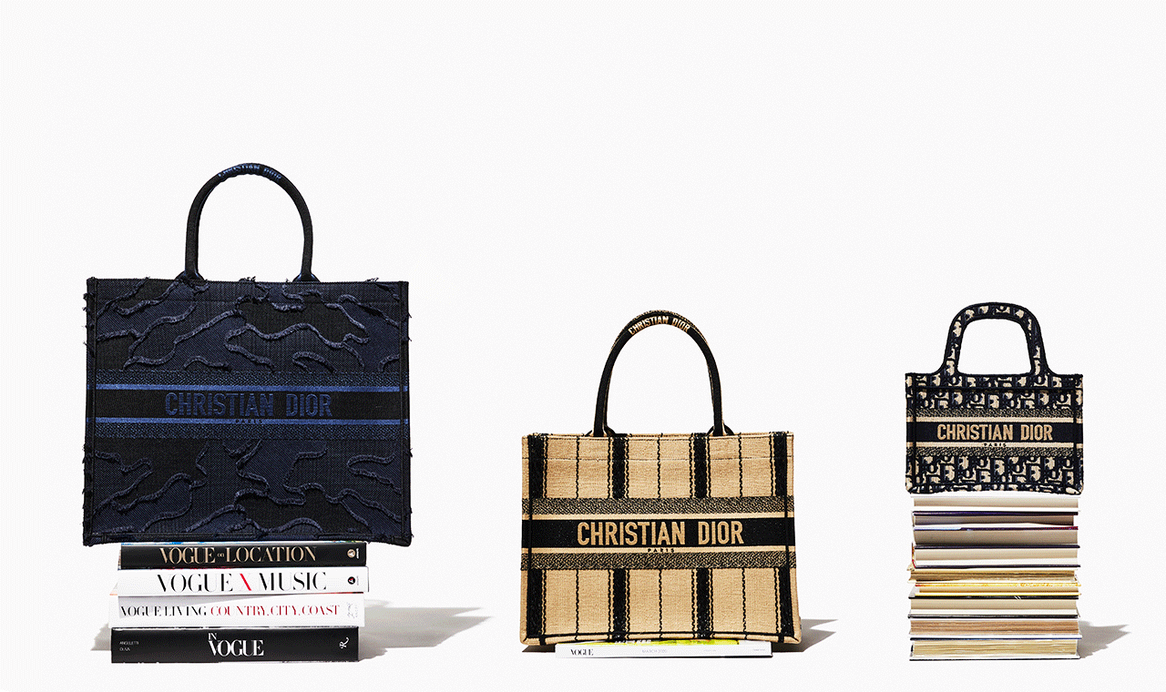 01Story_DiorBag-F_3.12.2020.gif