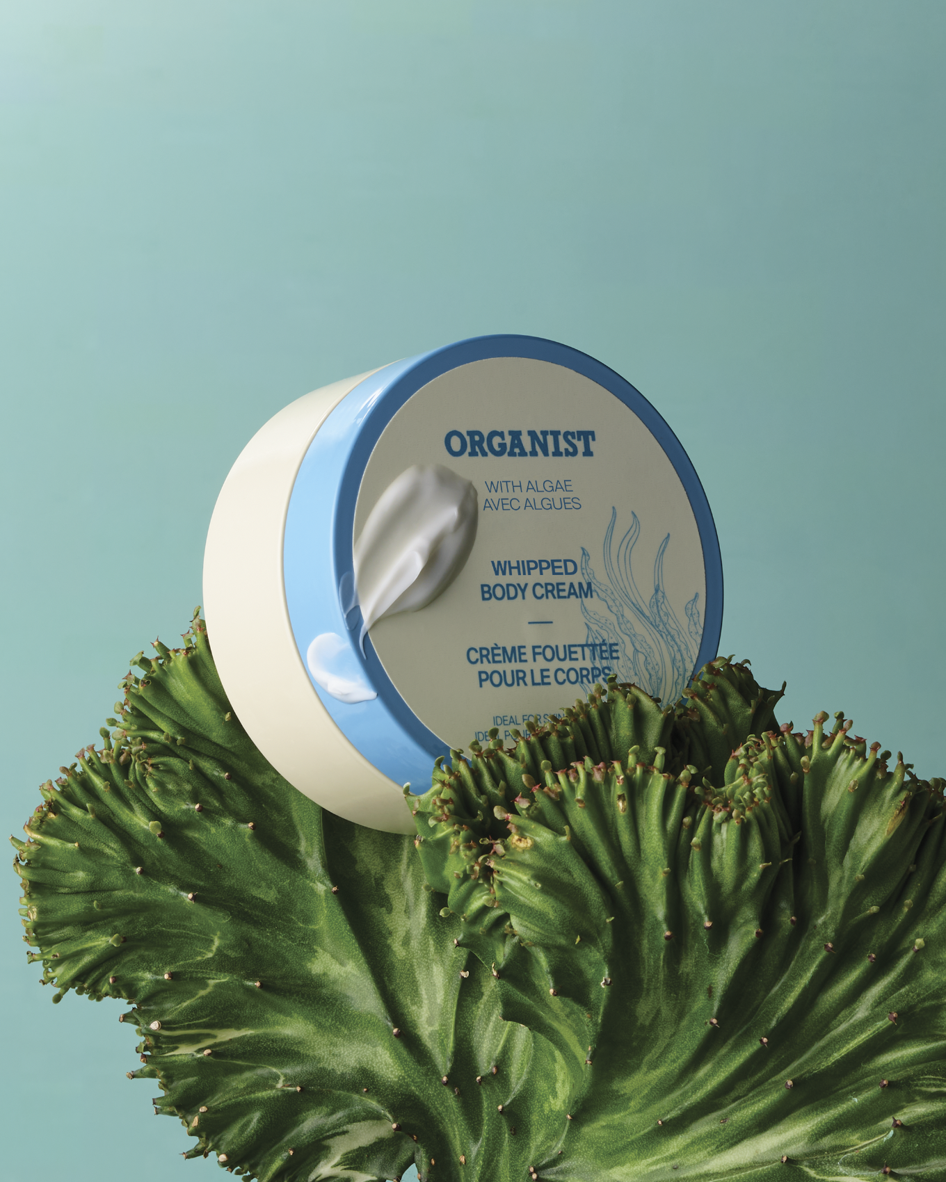 Screenshot 2025-08-10 at 4.46.52 PM.png