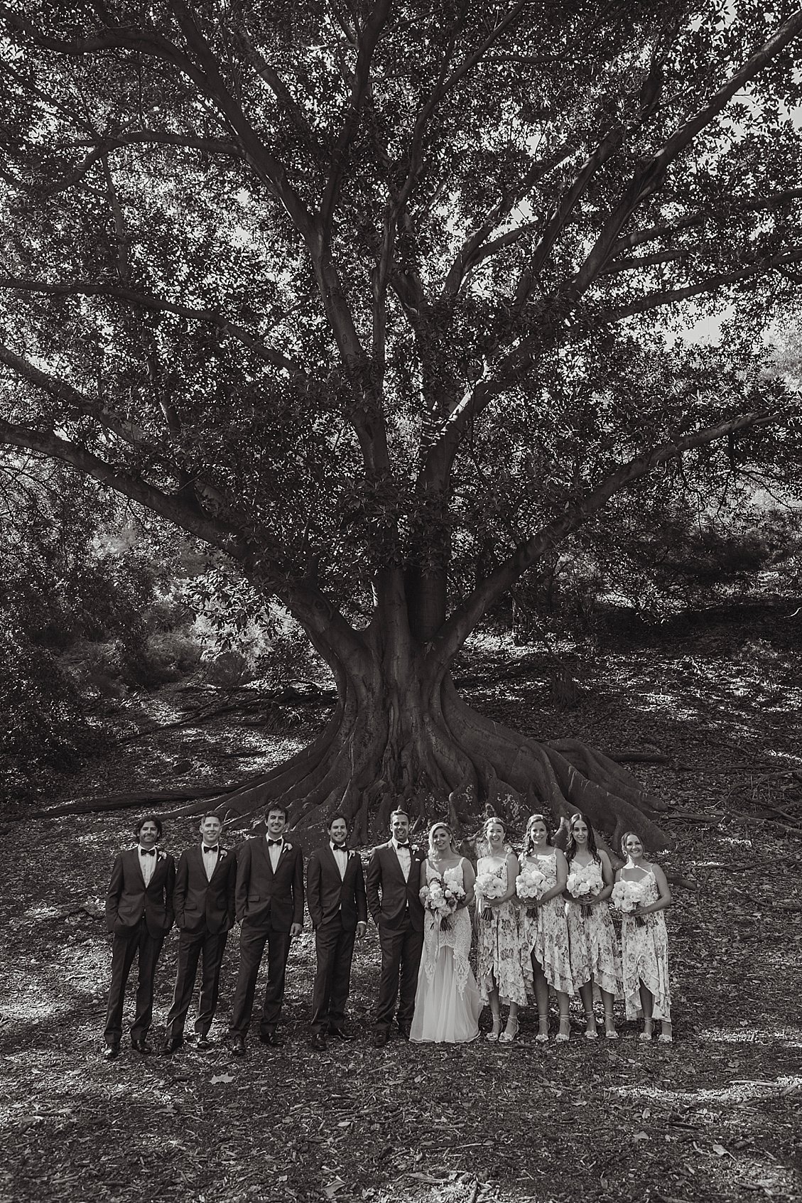 kings park wedding