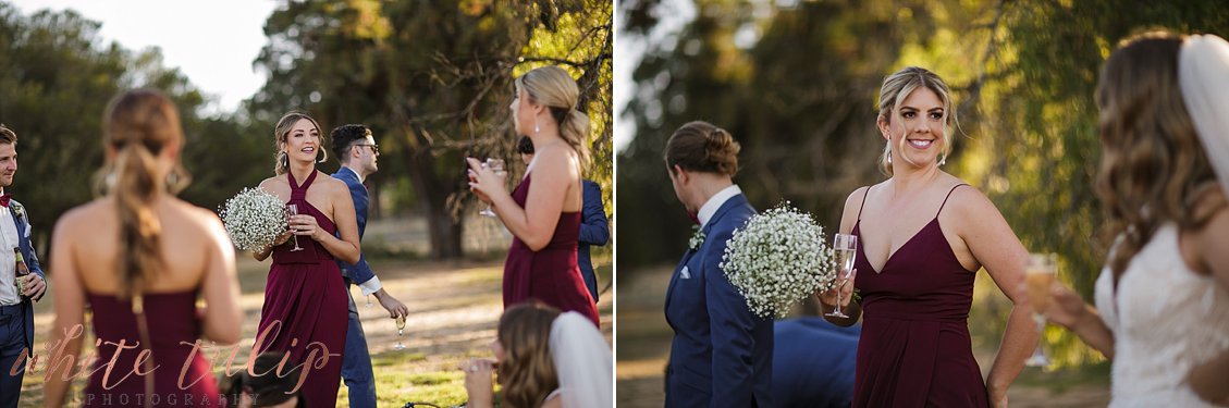 ferguson-valley-wedding-st-aidans-wines_0046.jpg