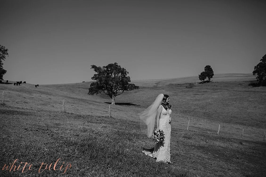 ferguson-valley-wedding-st-aidans-wines_0009.jpg