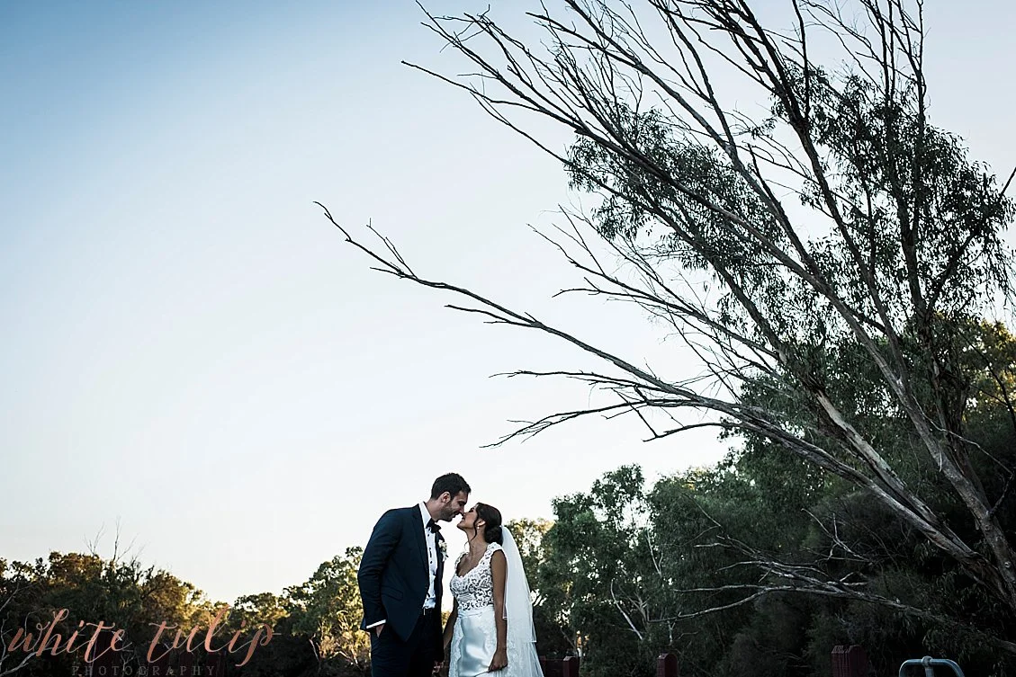 serbian-wedding-perth-photographer-caversham-house_0099.jpg