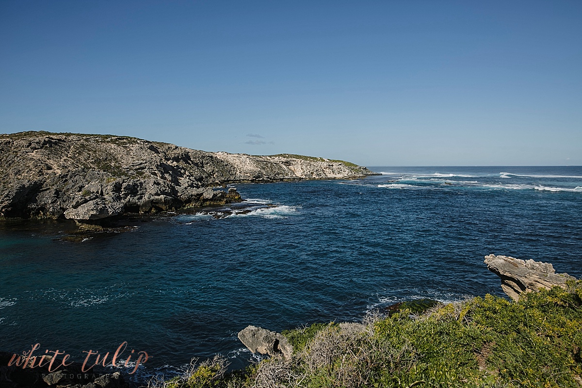 rottnest island wedding