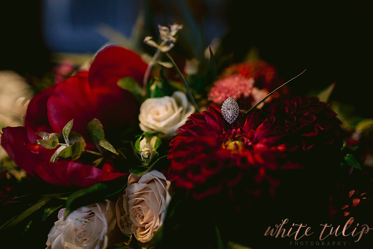 frasers-wedding-photographer-kings-park_0110.jpg