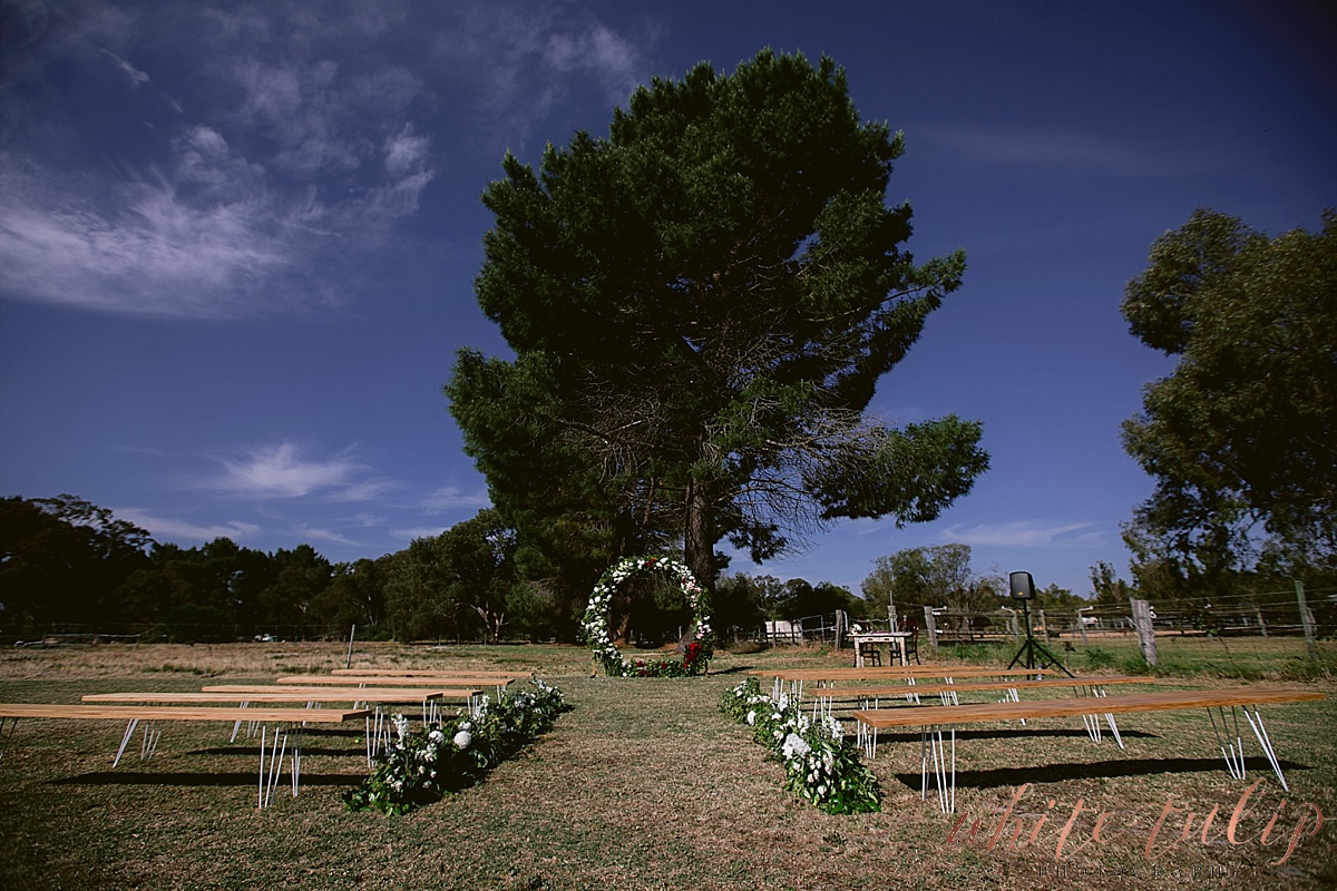 frasers-wedding-photographer-kings-park_0132.jpg