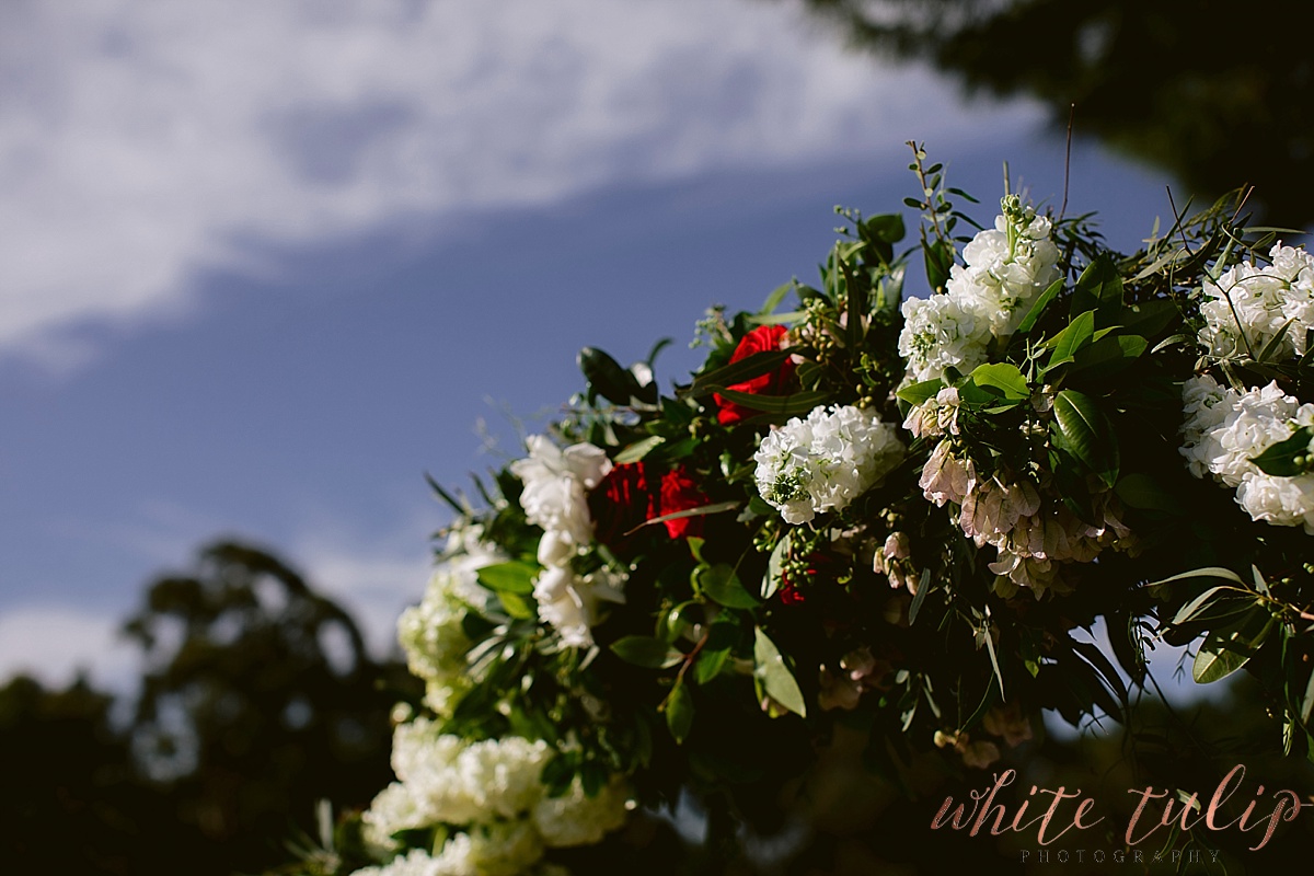 frasers-wedding-photographer-kings-park_0133.jpg