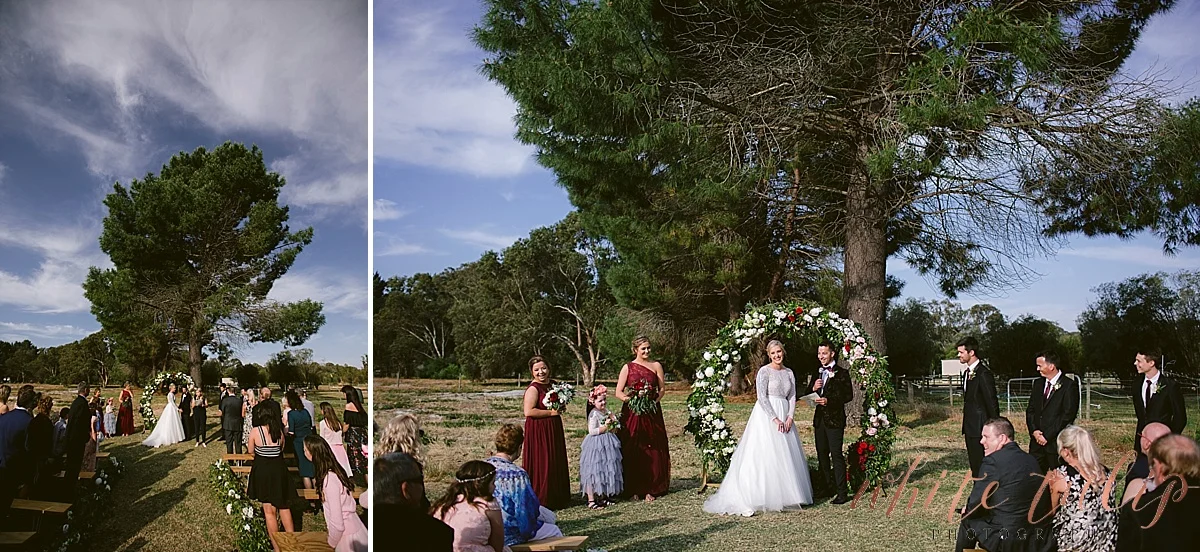 frasers-wedding-photographer-kings-park_0141.jpg
