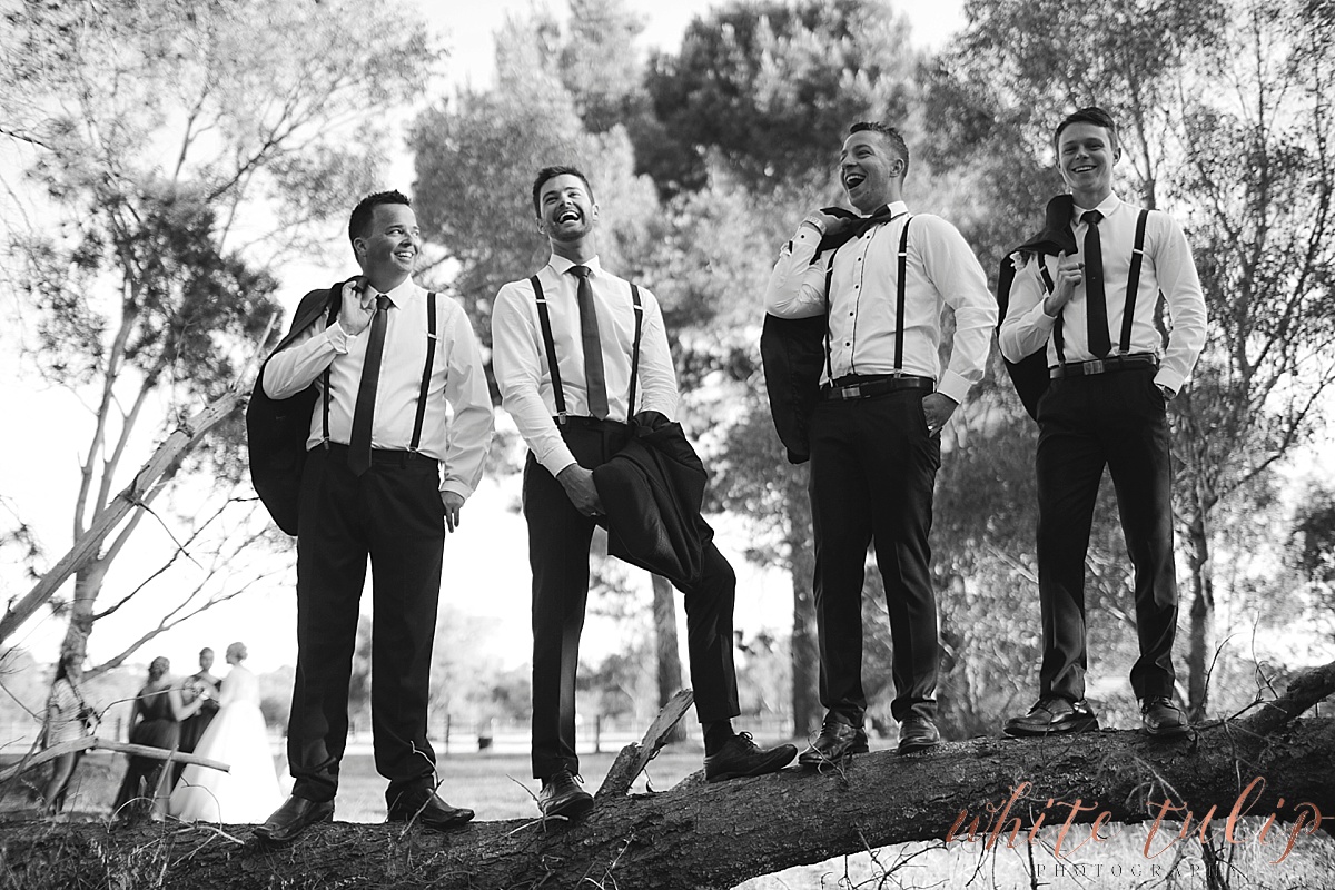 frasers-wedding-photographer-kings-park_0162.jpg