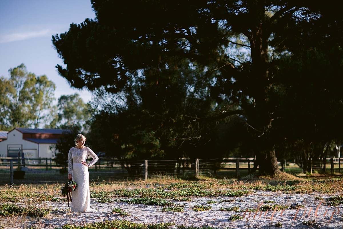 frasers-wedding-photographer-kings-park_0166.jpg