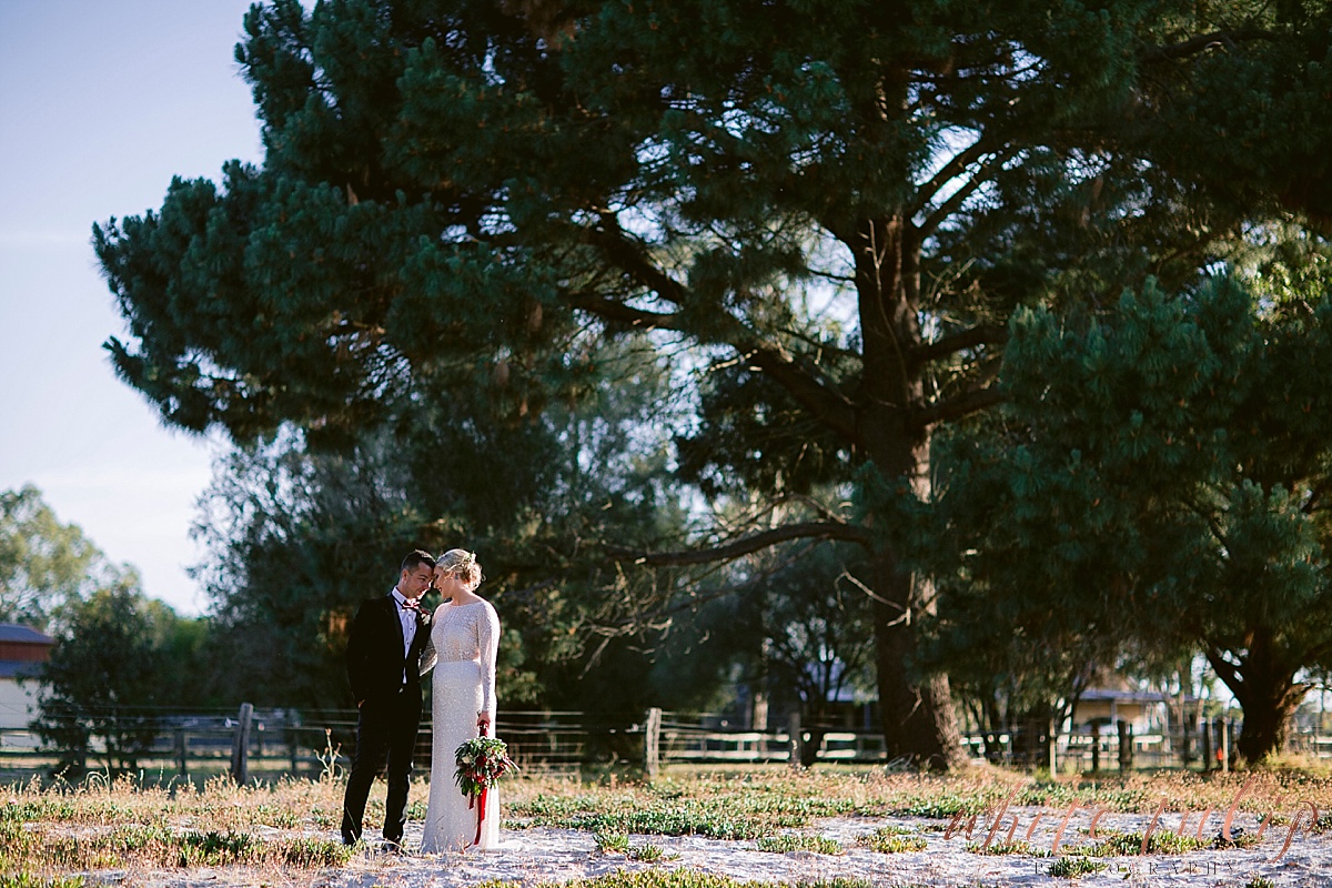 frasers-wedding-photographer-kings-park_0168.jpg
