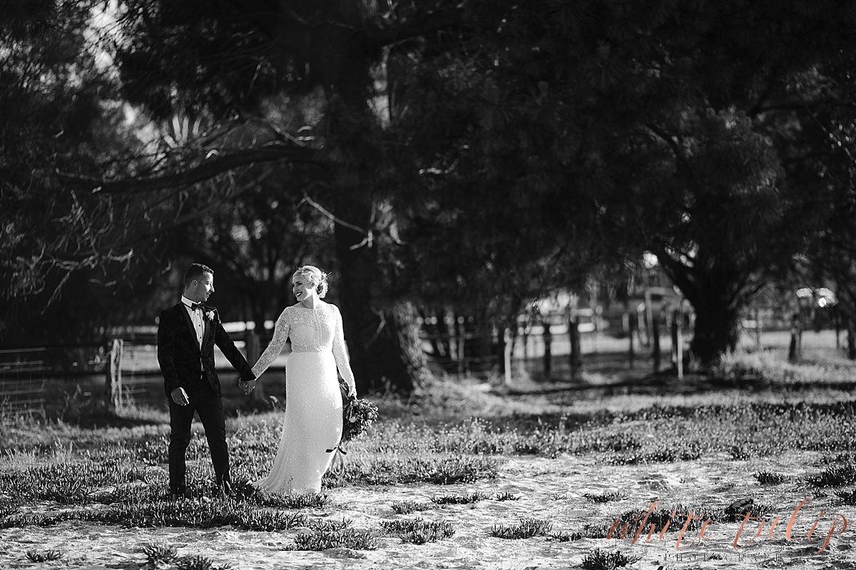 frasers-wedding-photographer-kings-park_0172.jpg