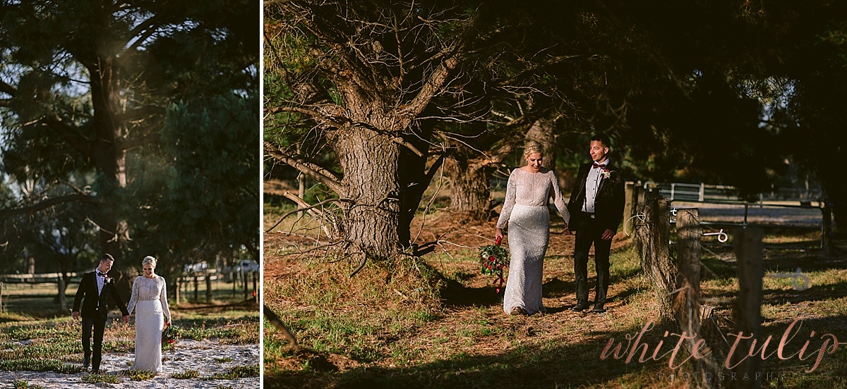 frasers-wedding-photographer-kings-park_0173.jpg