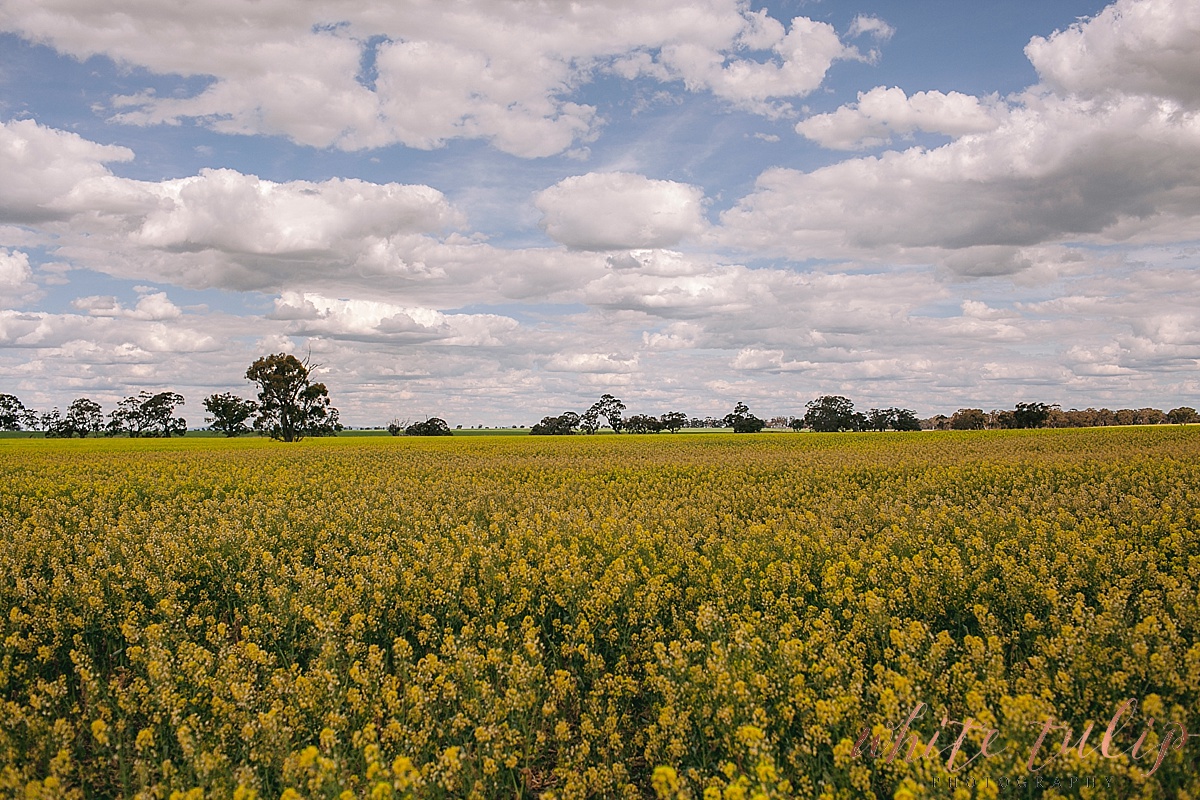 destination-wedding-photographer-country-victoria-wimmera_0013.jpg
