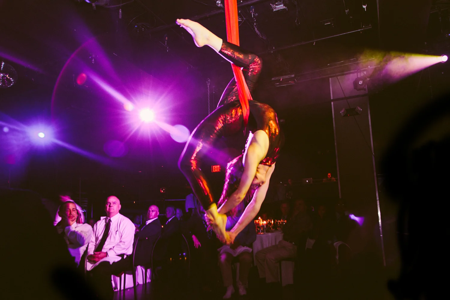 aerialist.jpg