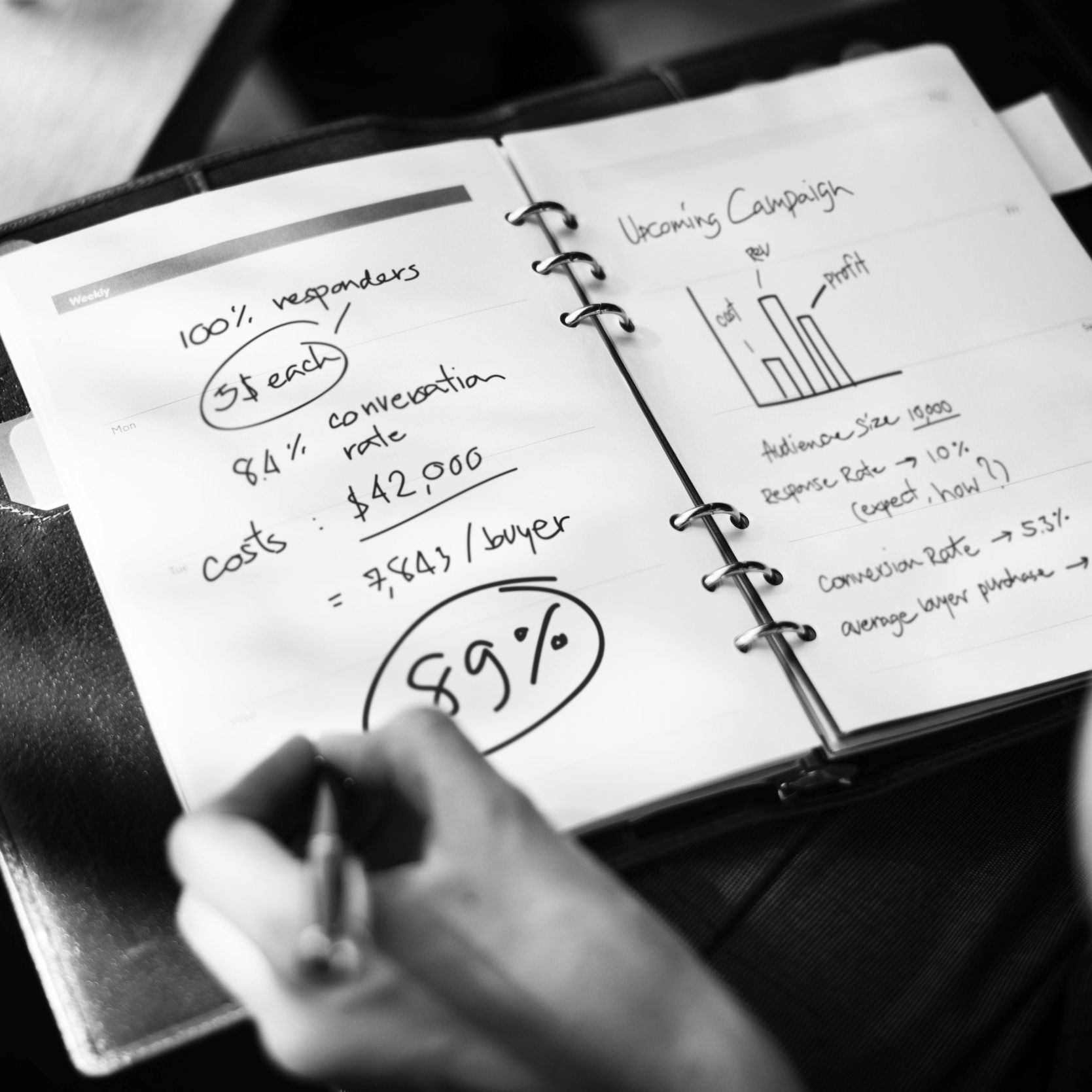 activity-analytics-business-401683.jpg