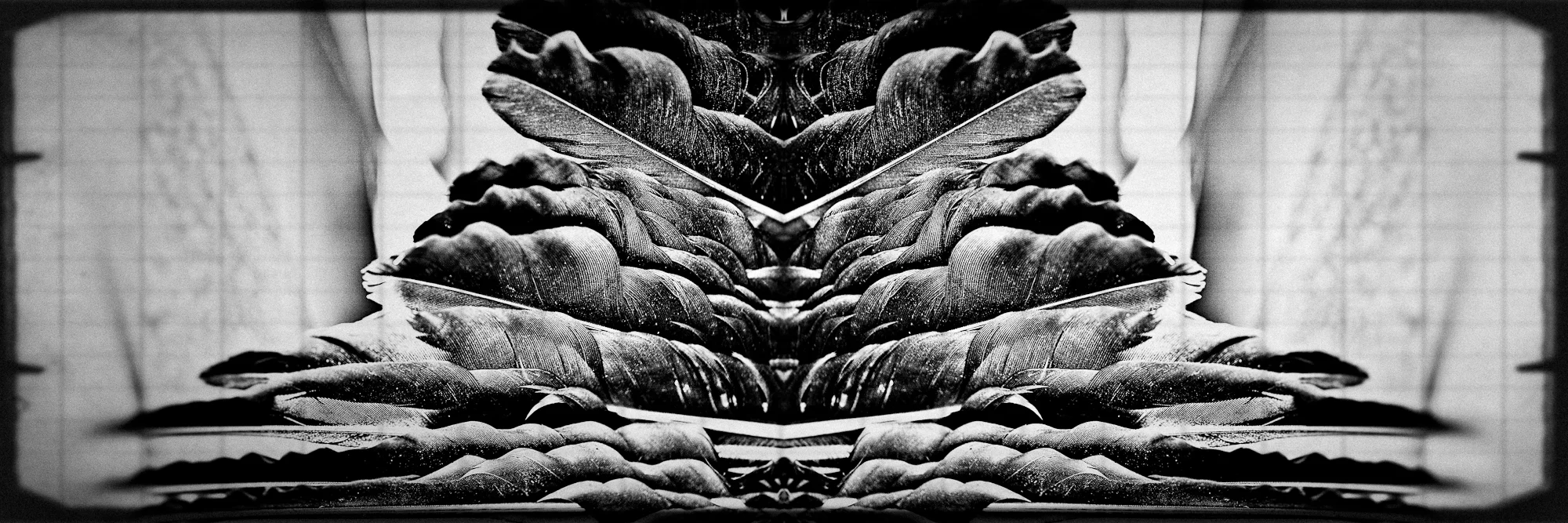 _MG_7199-Edit-Edit.jpg