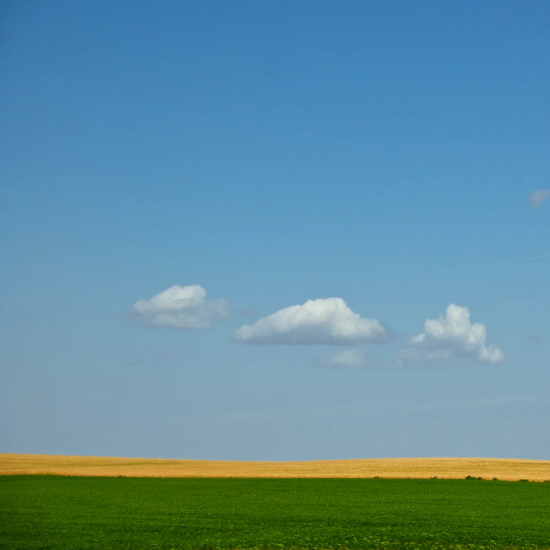 Road Trip 2009 1 18.jpg
