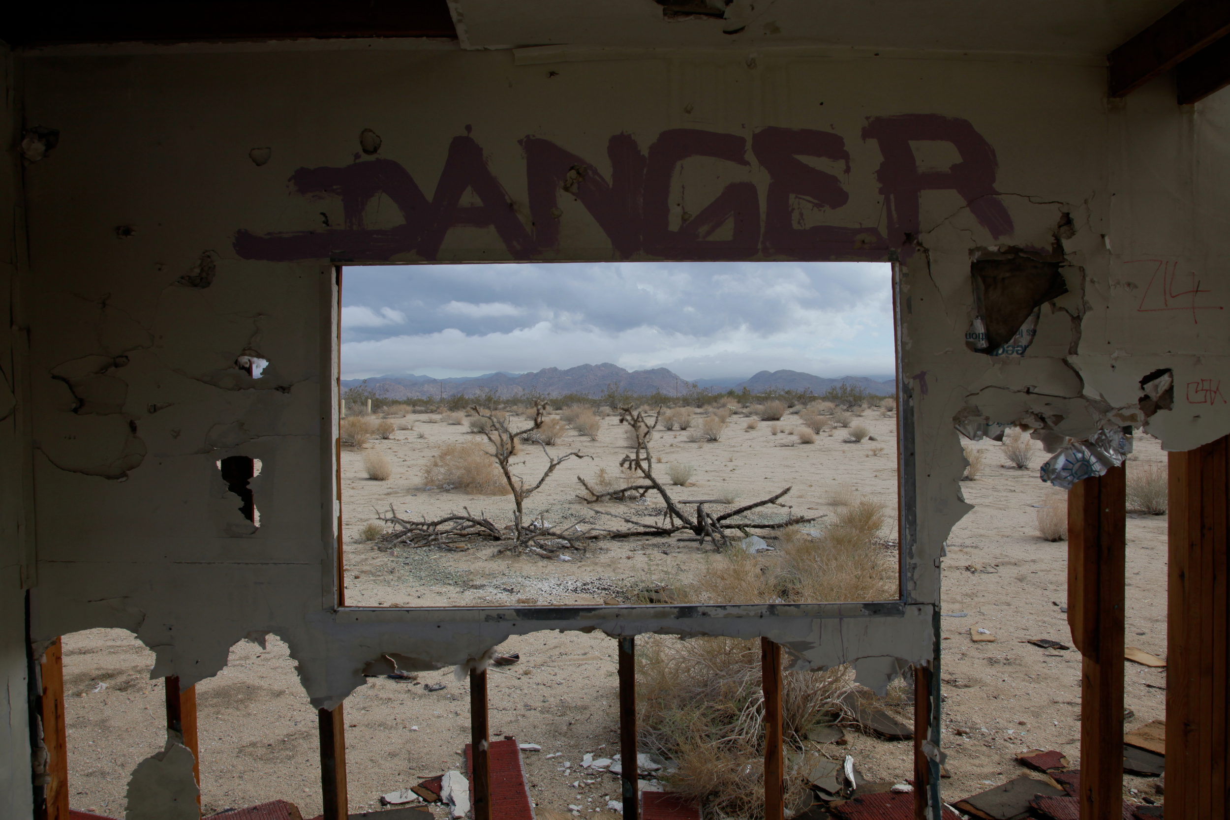 JOSHUATREE 2.jpg