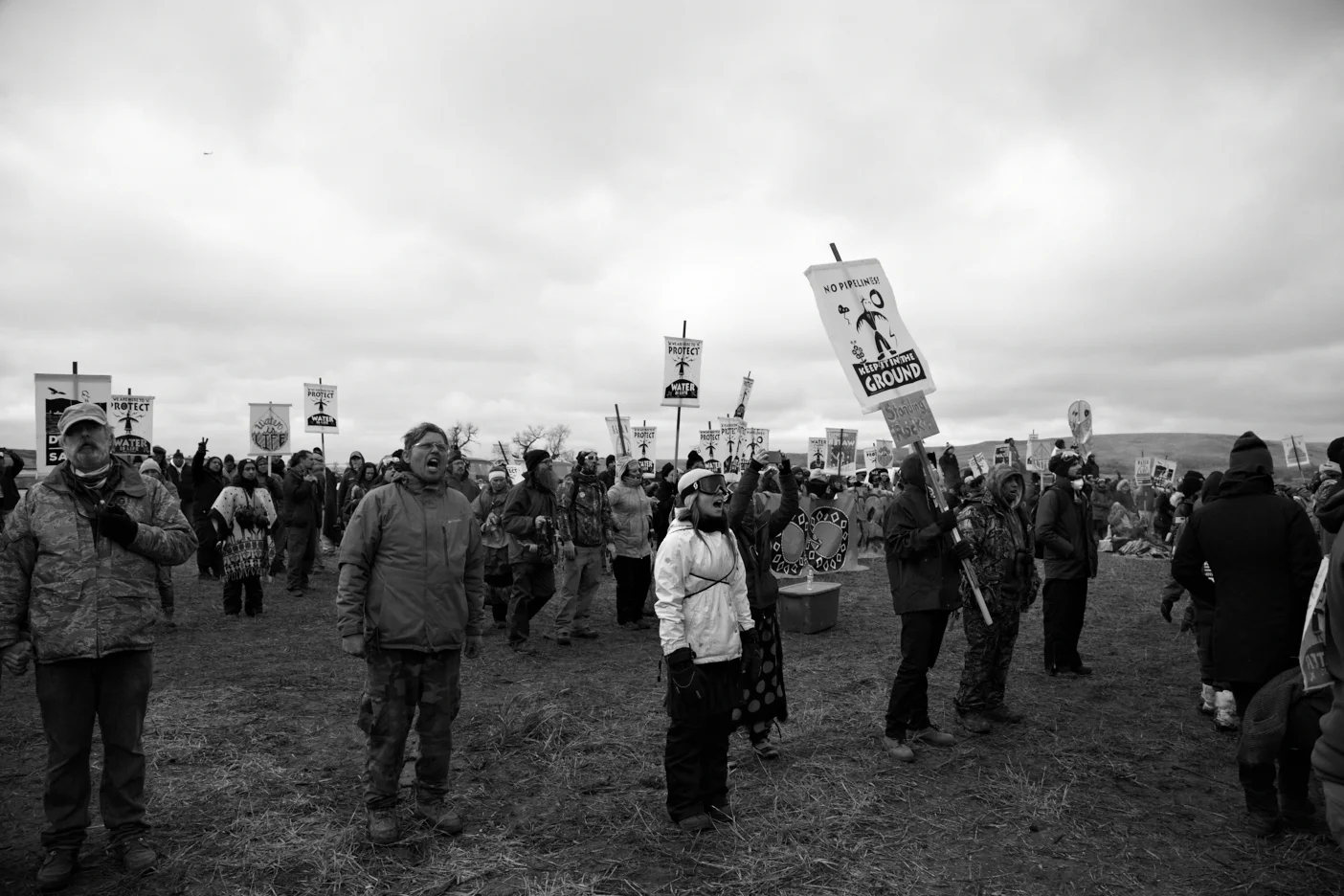 m.ANDREINI_dapl_ 22.jpg