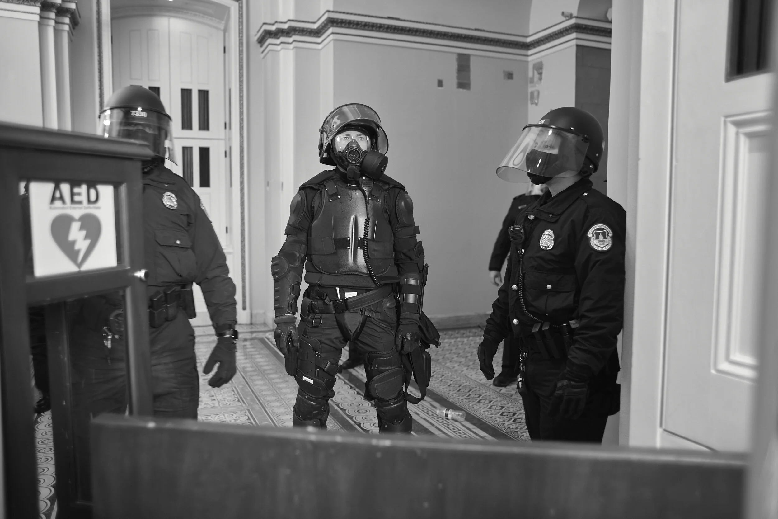 insurrectionWEBSITE81.jpg