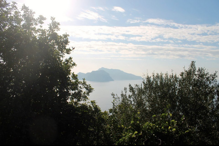 Screen Shot 2013-08-04 at 2.29.40 AM.png