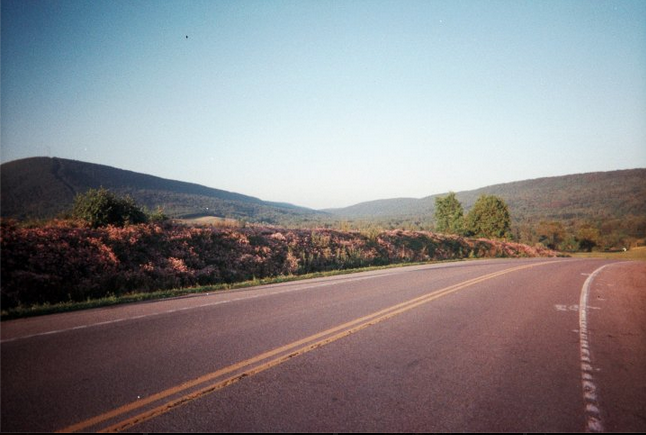 Screen Shot 2013-08-04 at 2.46.57 AM.png