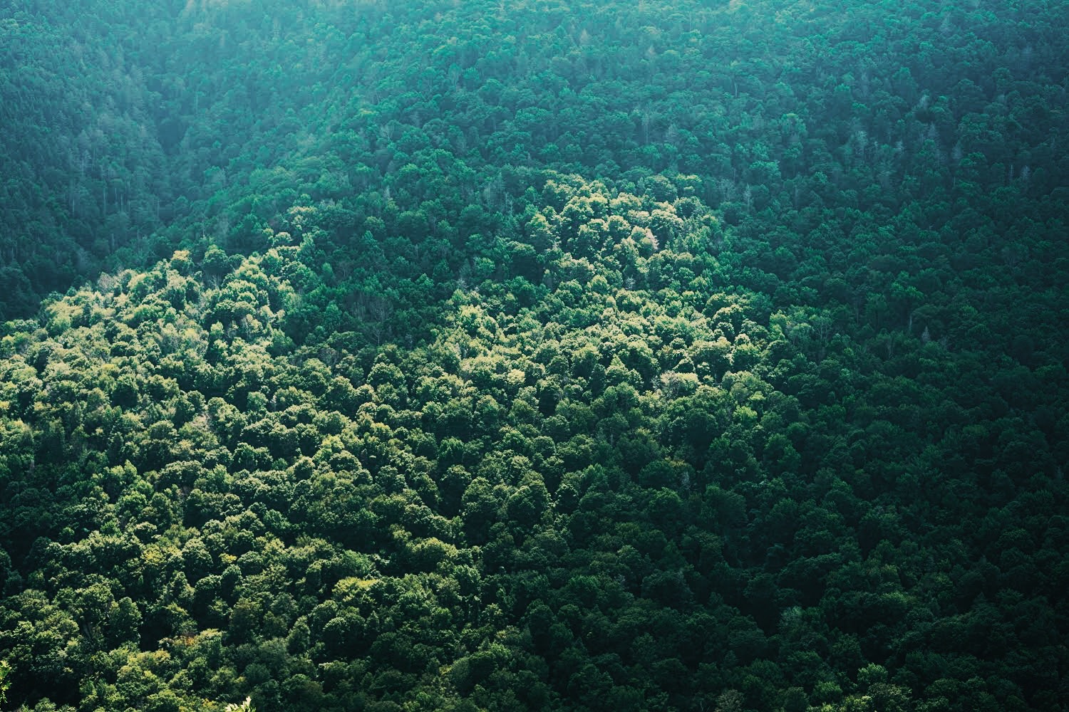 2F01D901-6928-4BA9-94C2-58428FEB32C3 2.JPG