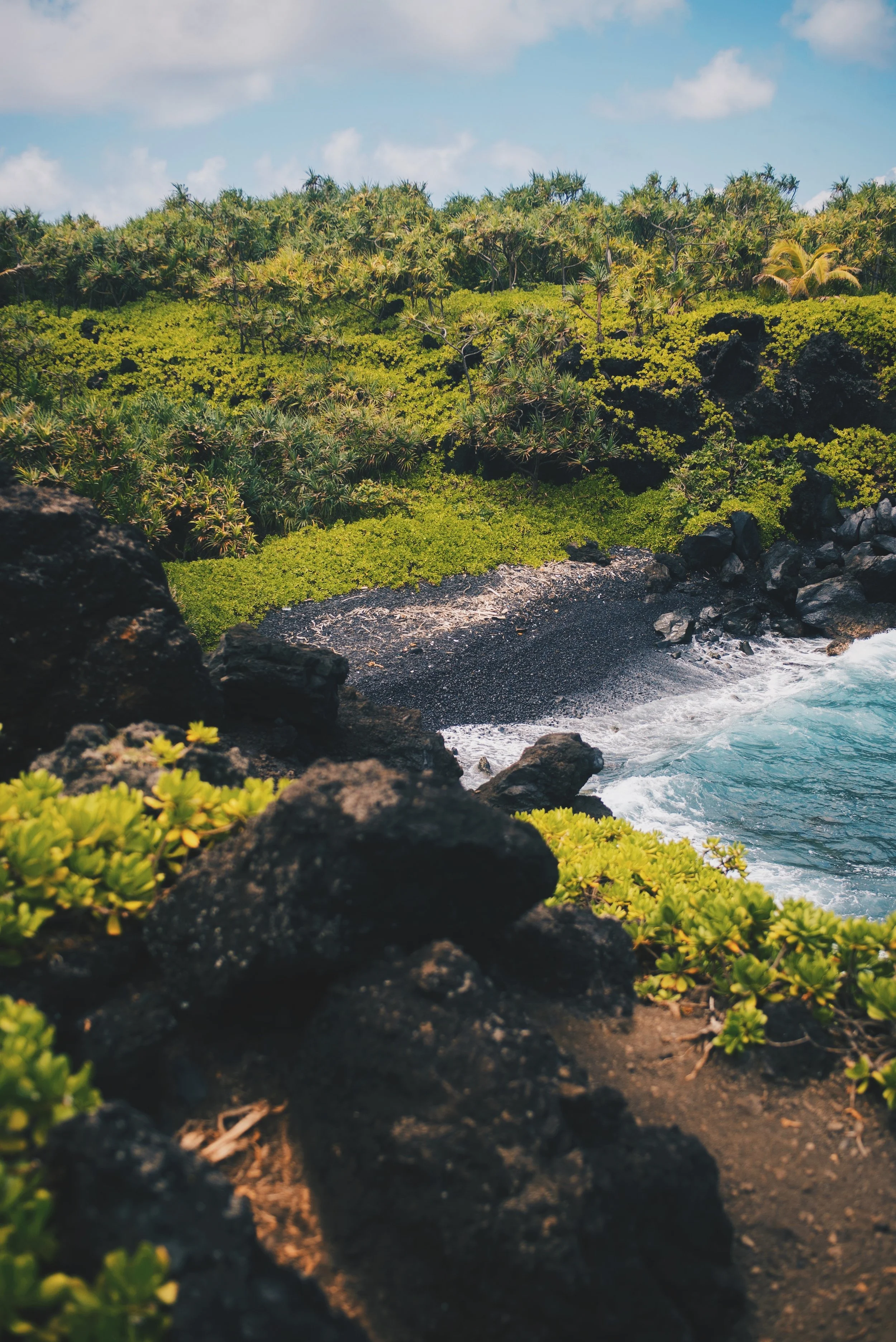 1B255852-5C19-4FD9-9E02-3818EAE1B4E1 2.JPG