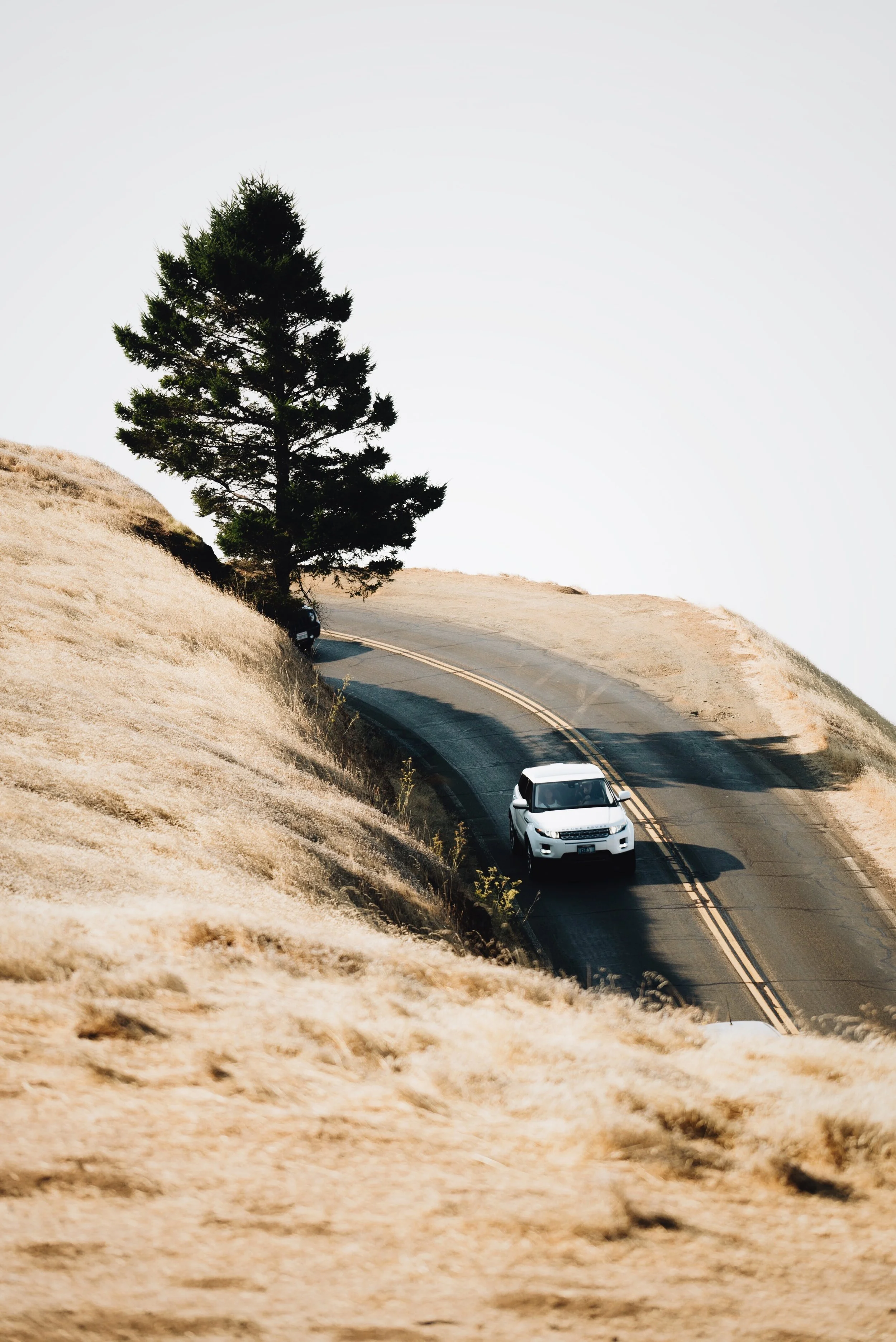 08F15208-2C69-4726-BC59-F51C4A474349 2.JPG