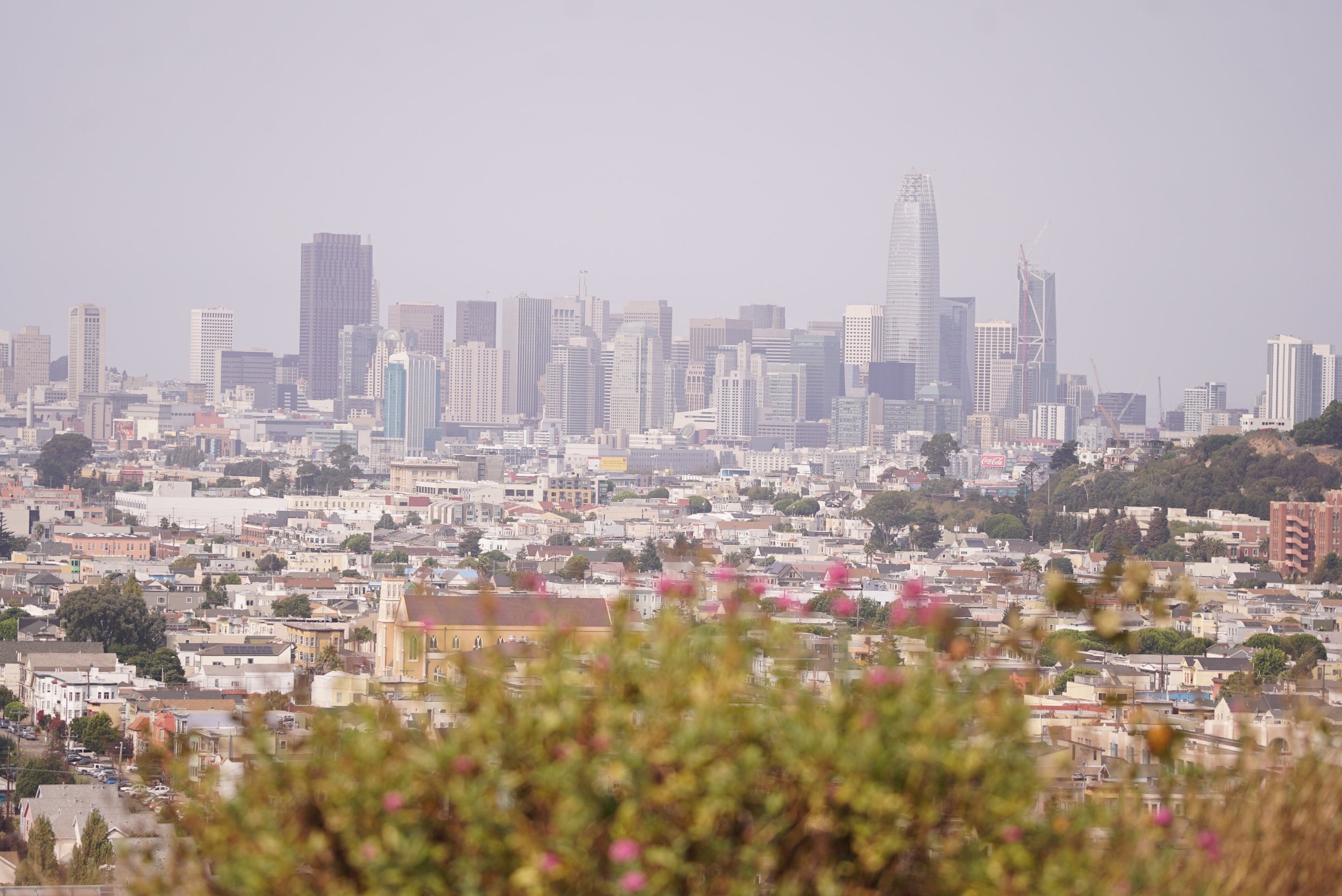 430CAABA-E4F0-445C-9D45-55827ED926D4 2.JPG