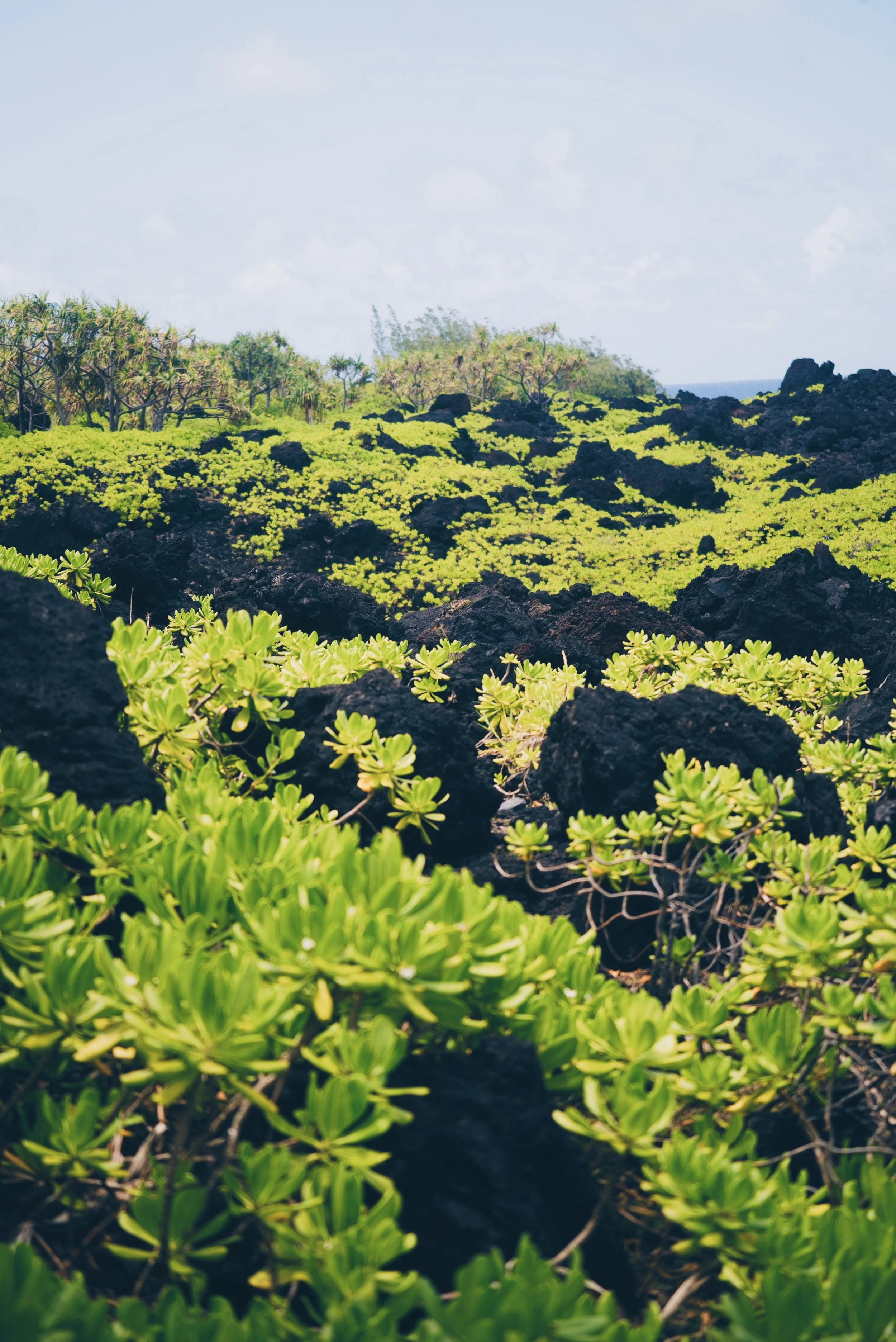 8946891F-77BD-45D4-B658-0318BD3907C6 2.JPG