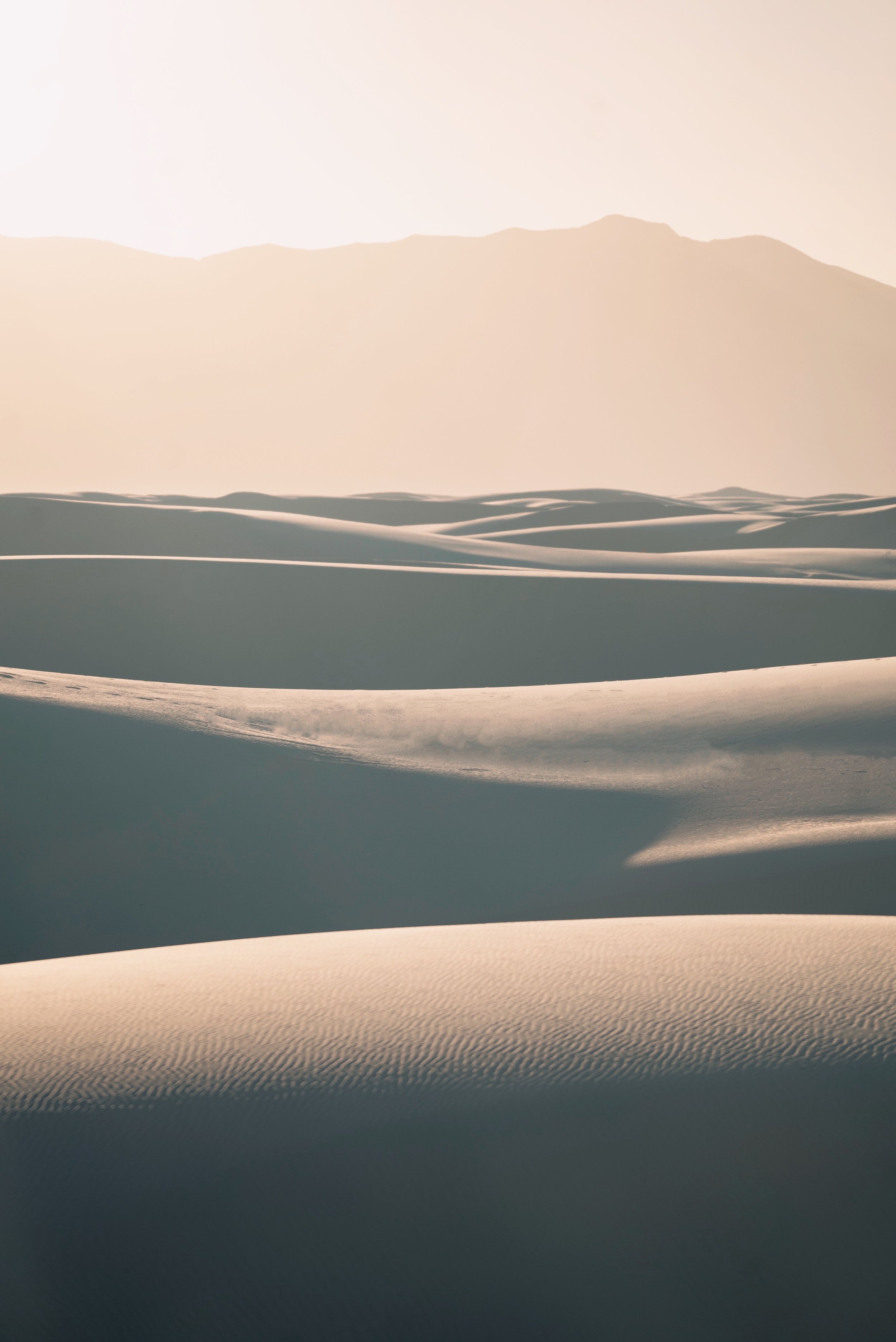 A36A705D-2952-4F27-82BB-EF75AE5CCD92 2.JPG