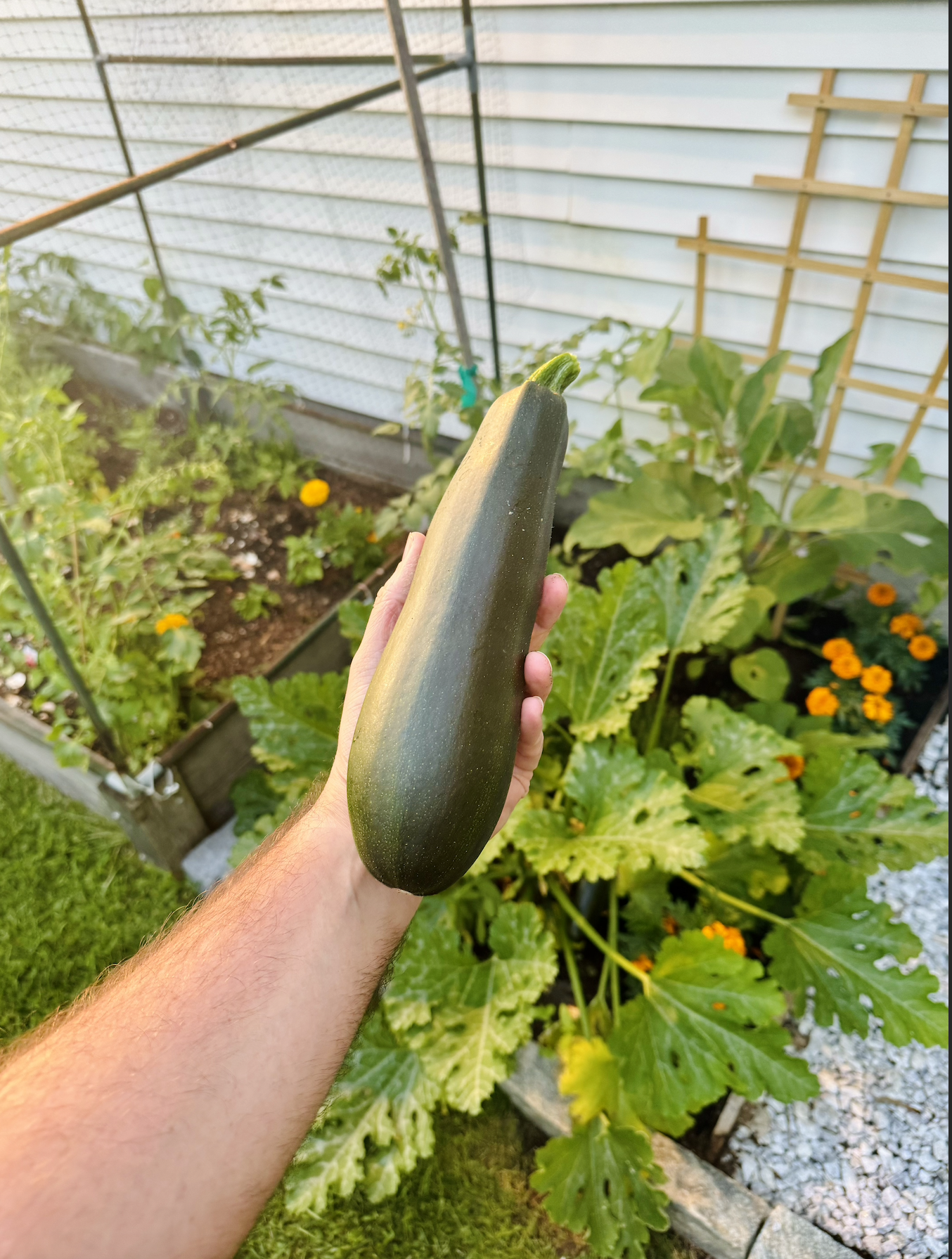 Screenshot 2024-09-18 at 8.56.33 PM.png