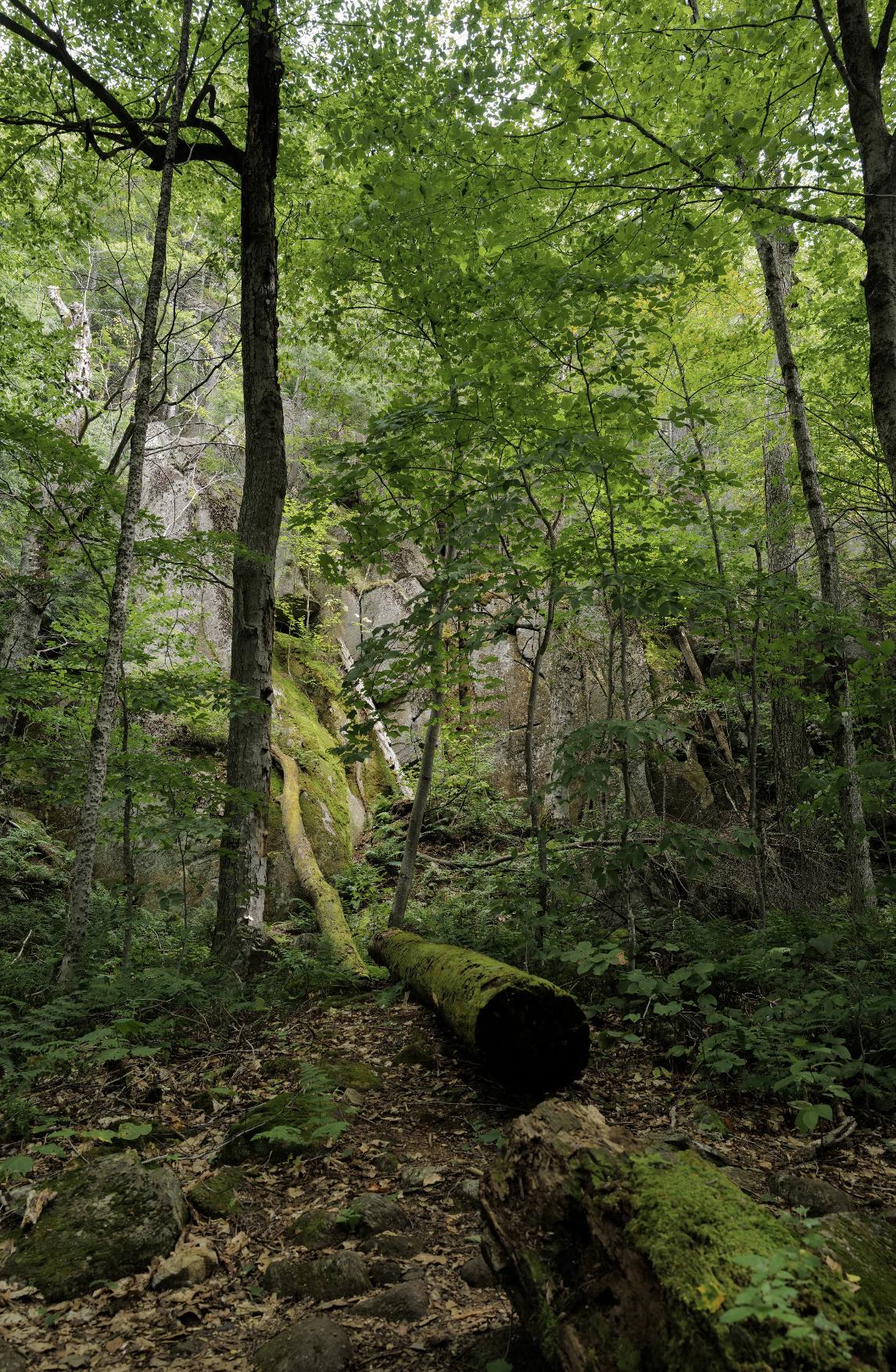 Screenshot 2024-09-18 at 9.13.40 PM.png