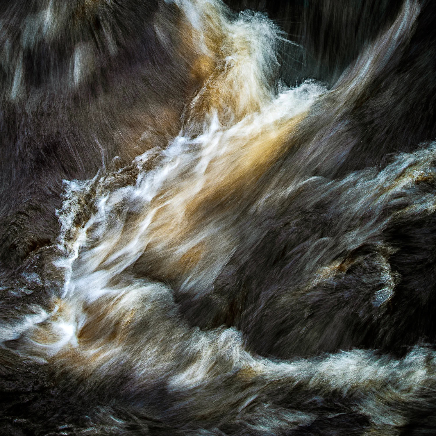 6. Rapids.jpg