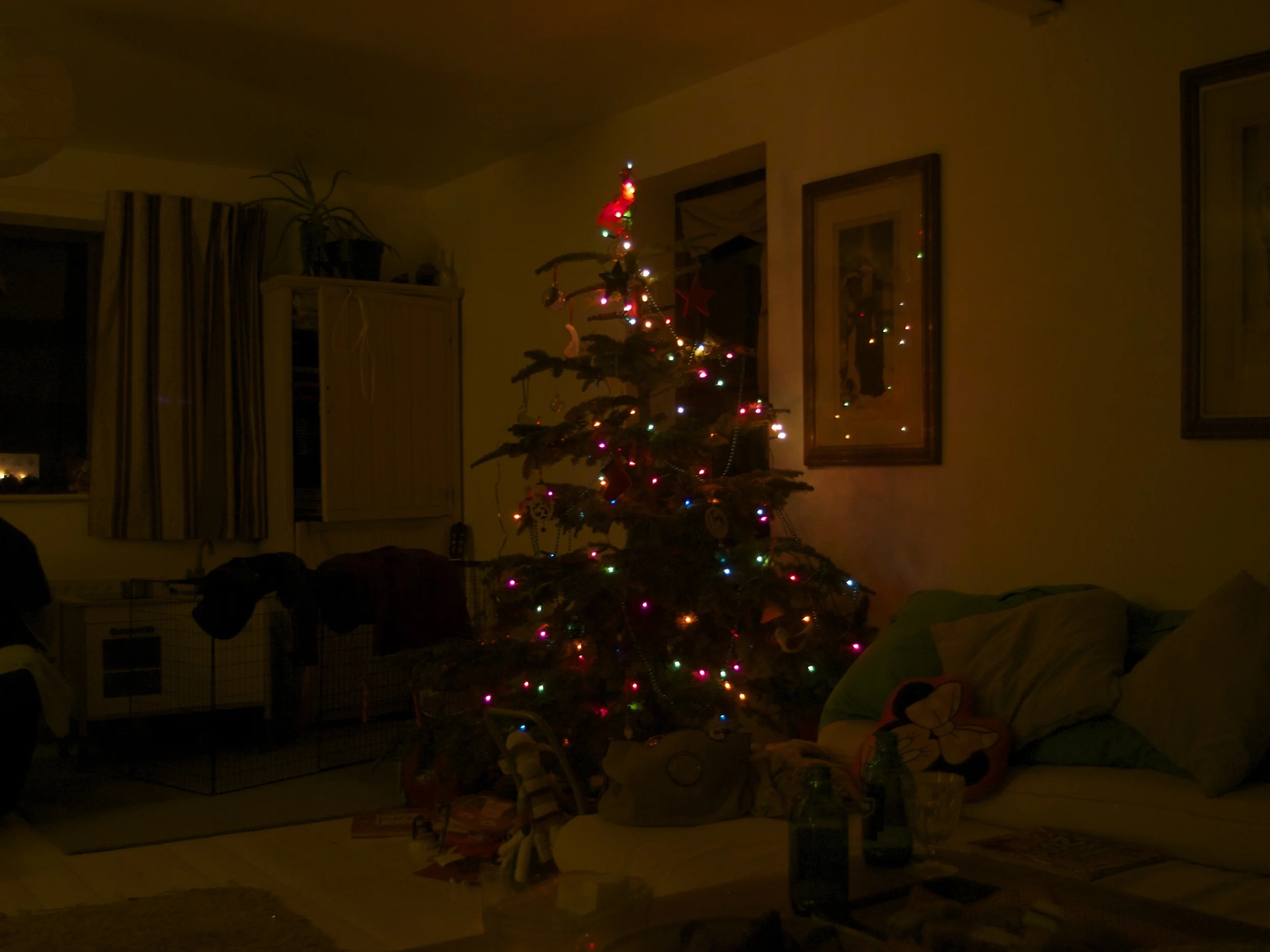 P1019090.jpg