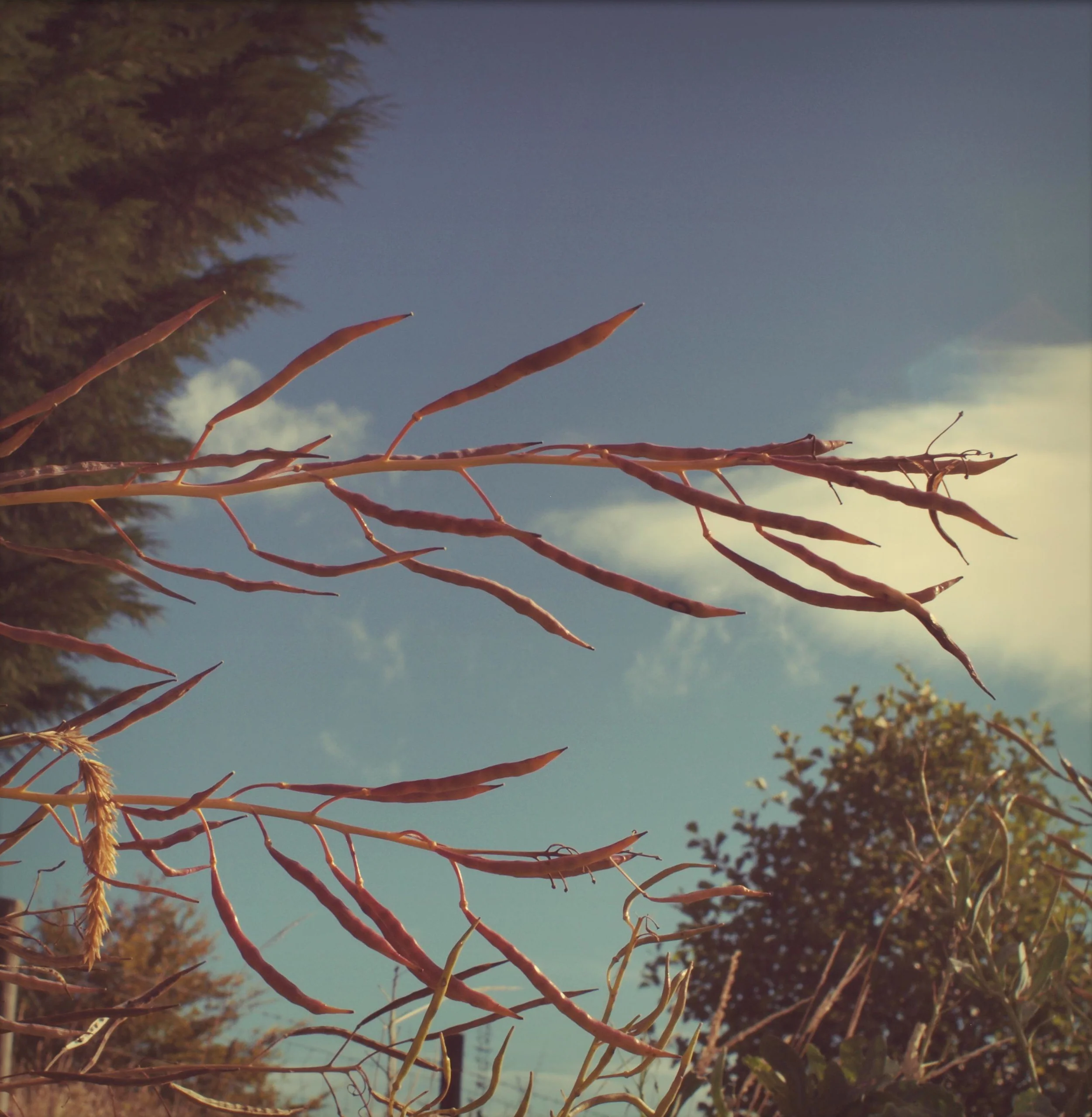 P1015727_instant.jpg