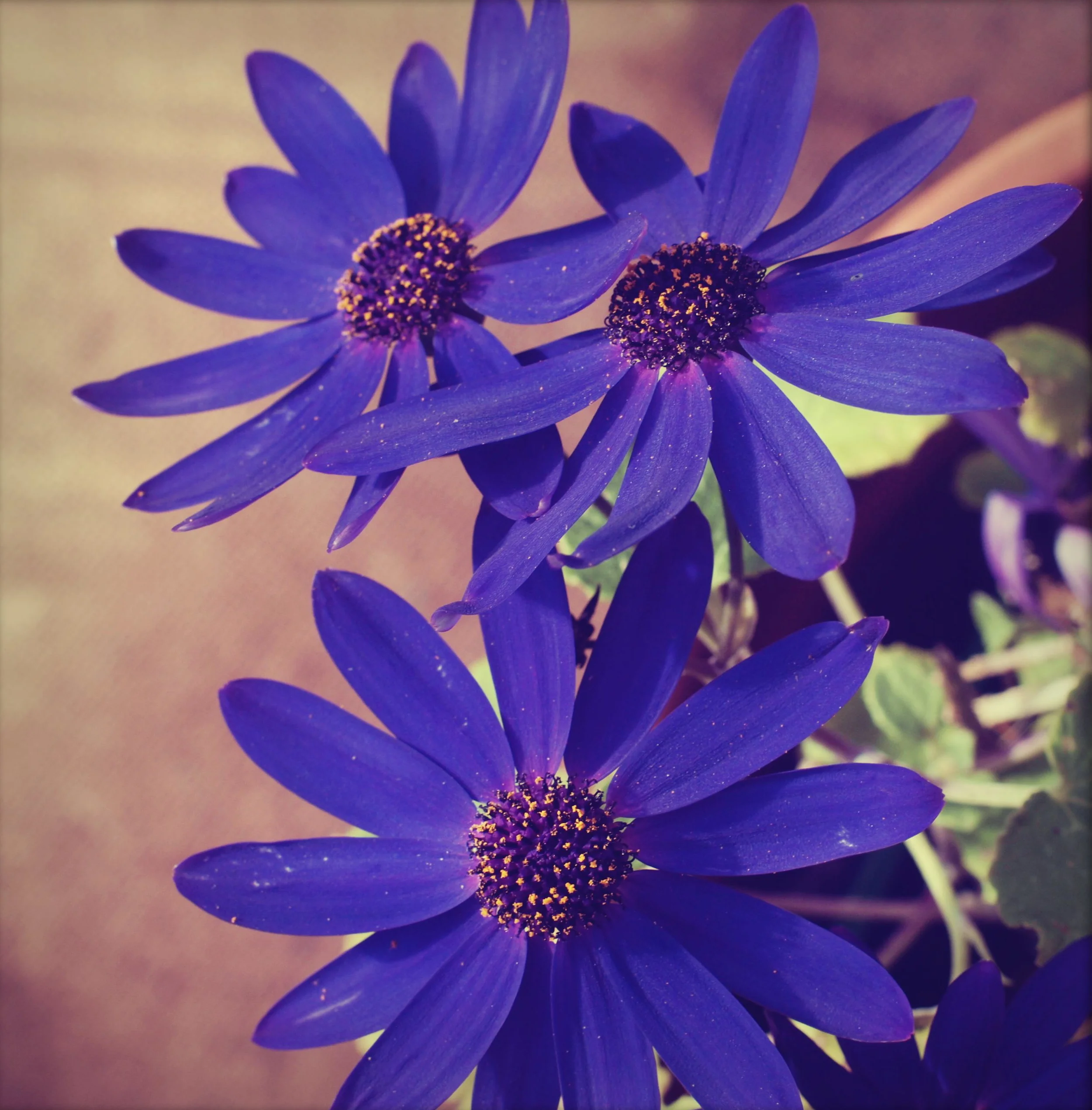 P1019489_instant.jpg