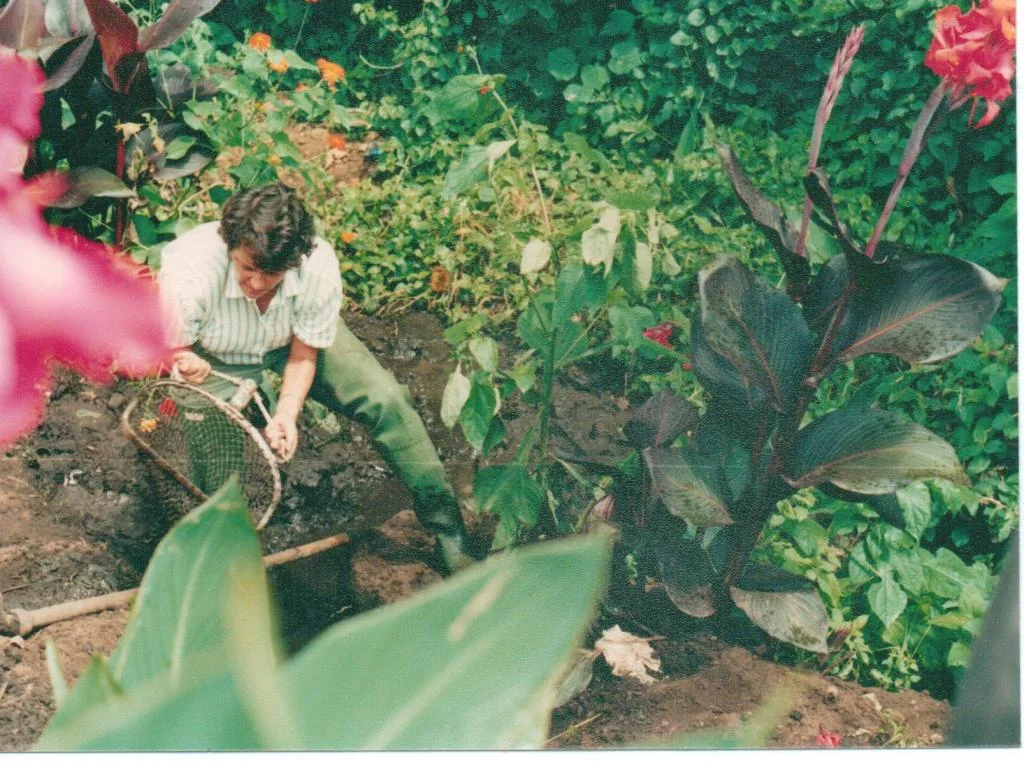 looking for fish larvae in TZ 001.jpg