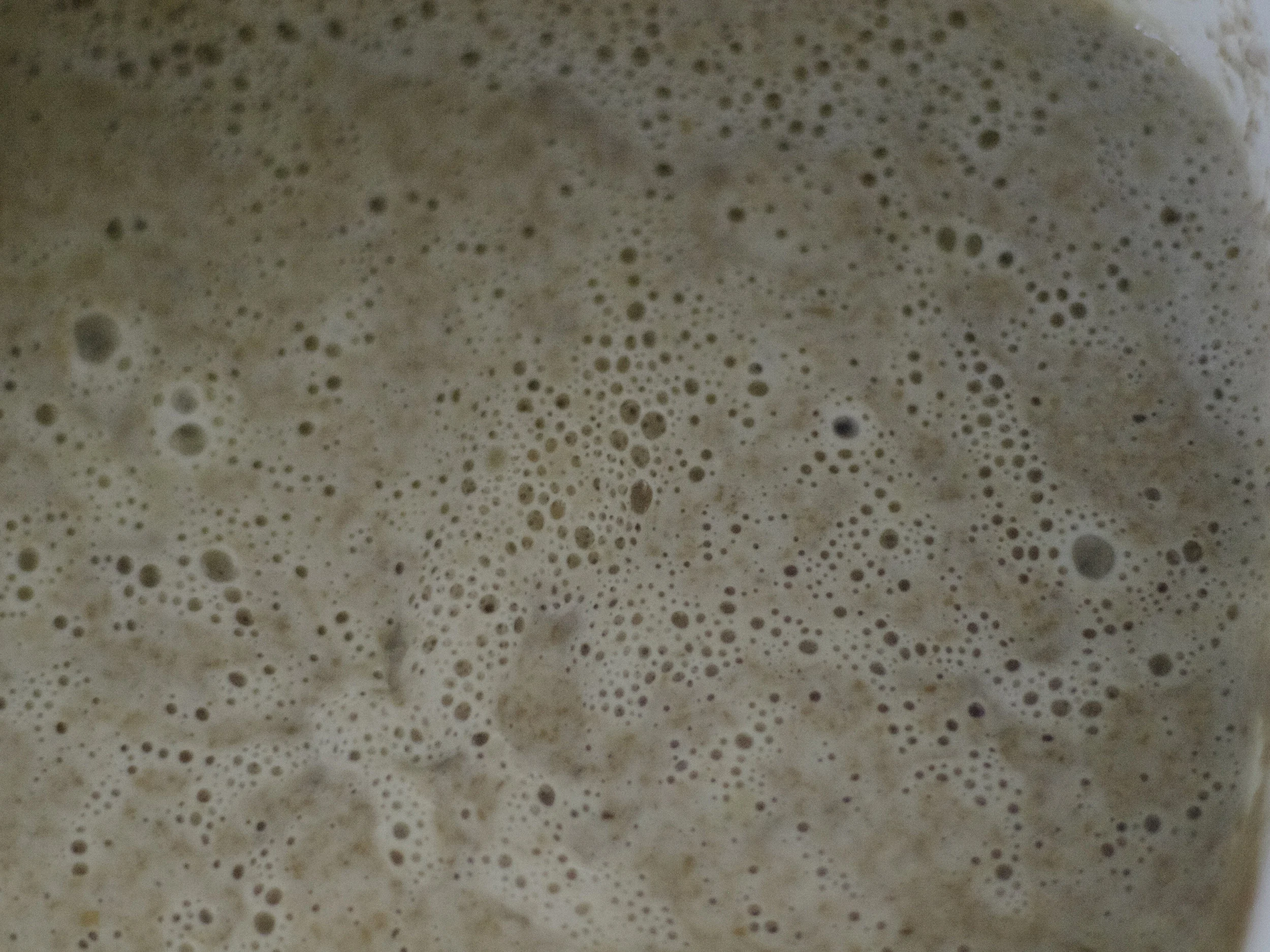 P1015831.jpg