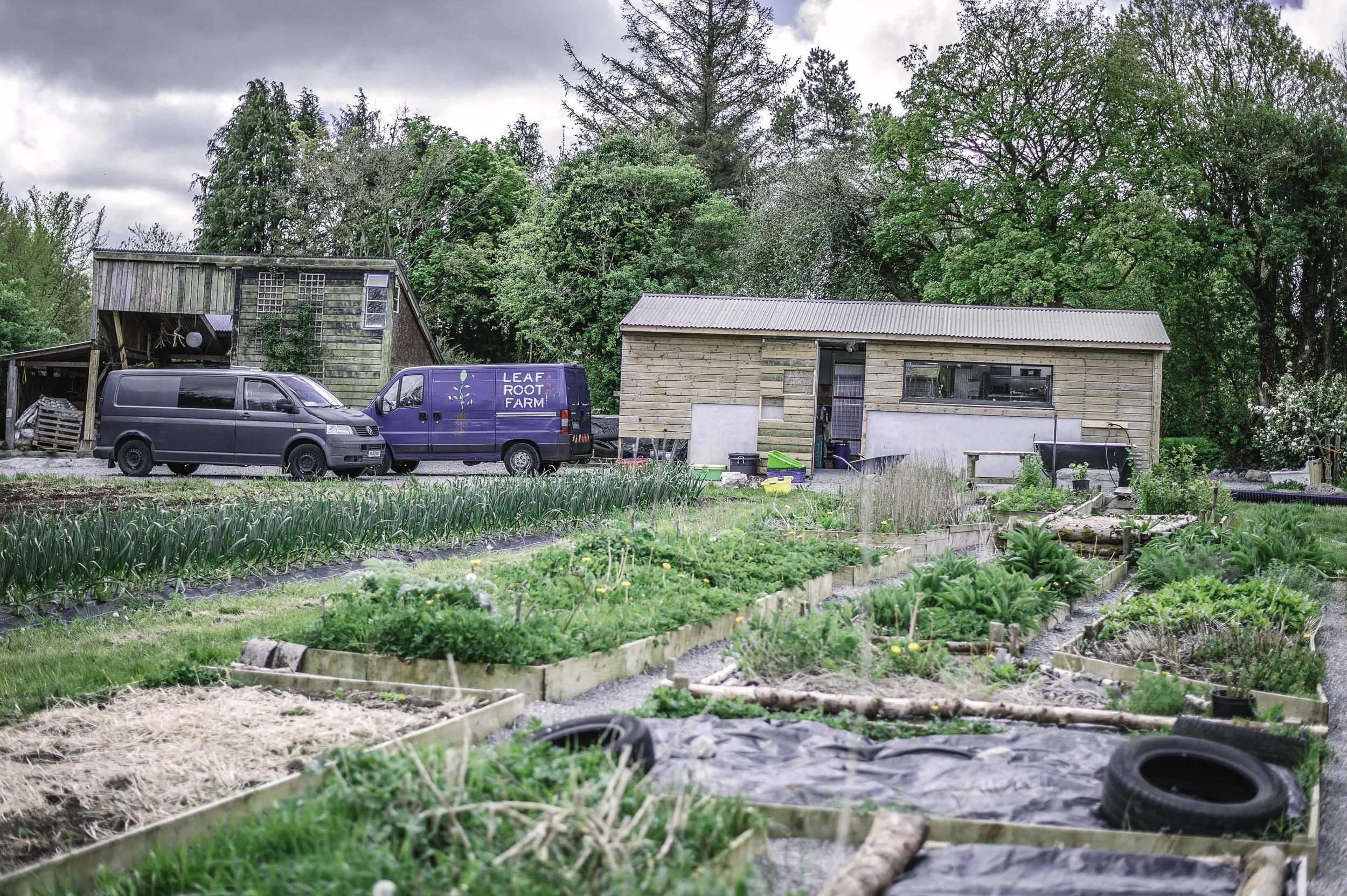 DSC_1944.jpg