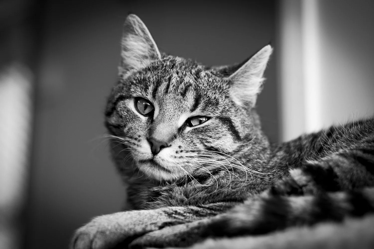 0003876 - Taheri.jpg