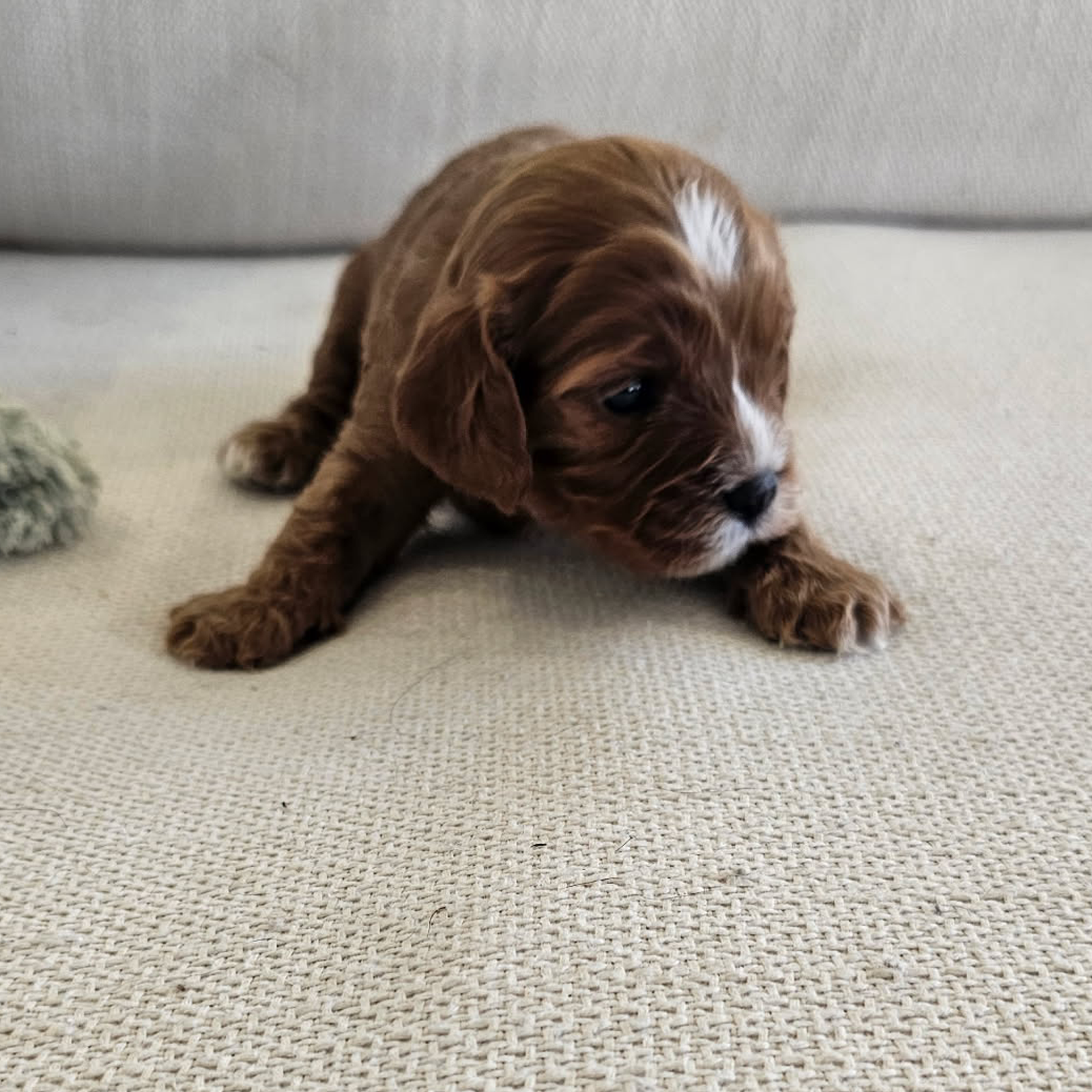 Boy #4