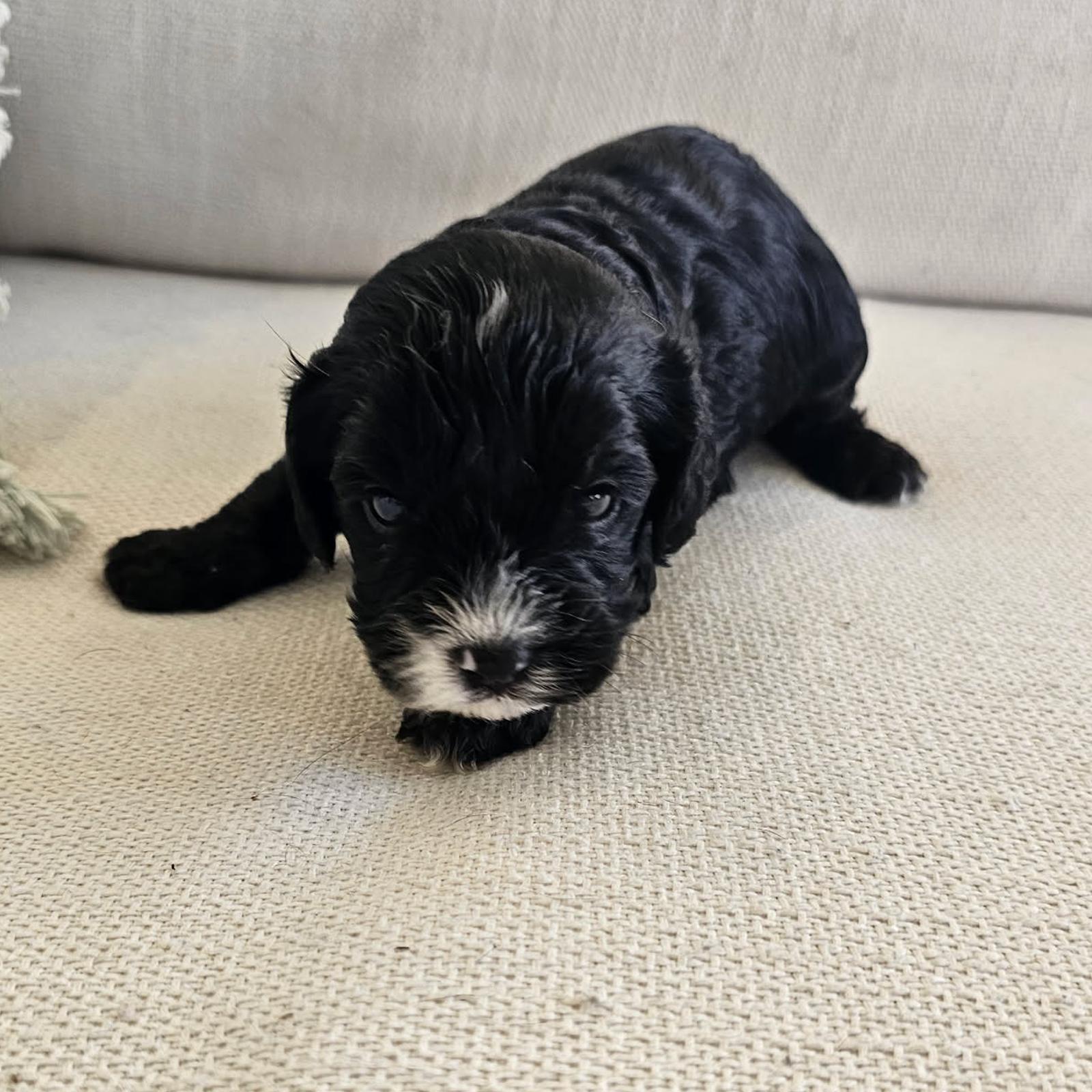 Boy #2