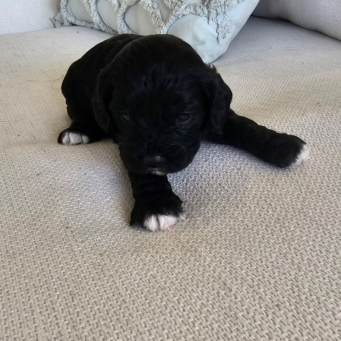 Girl #1