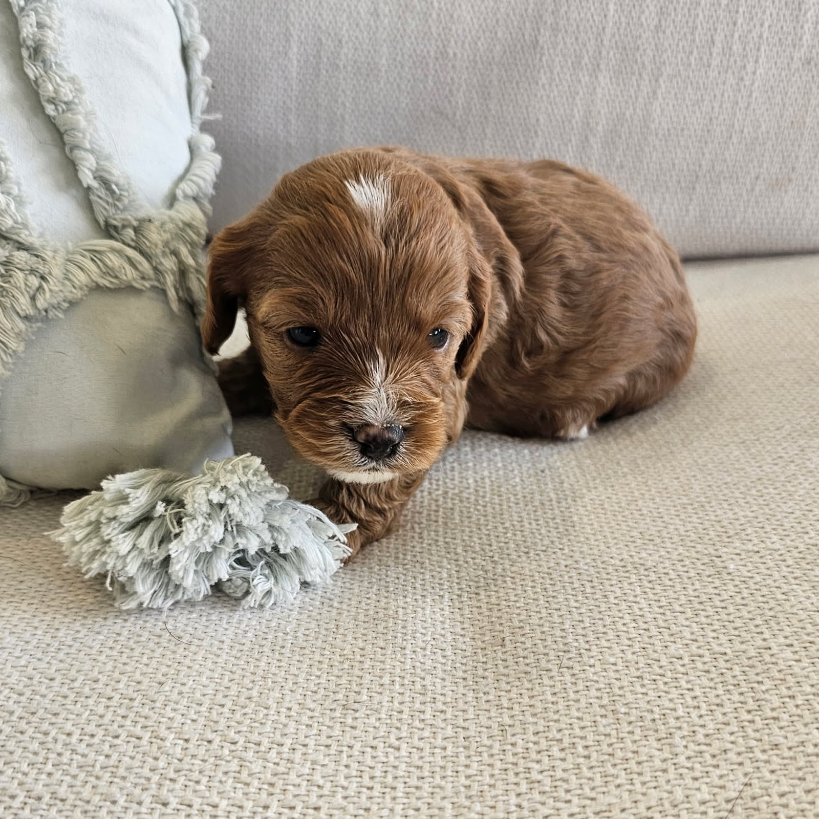 Girl #3