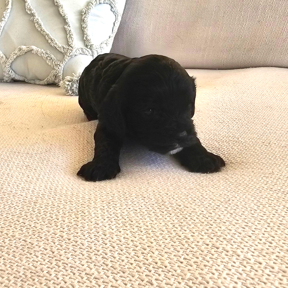 Boy #3