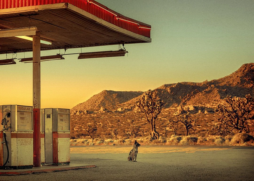 straygasstationWEB.jpg