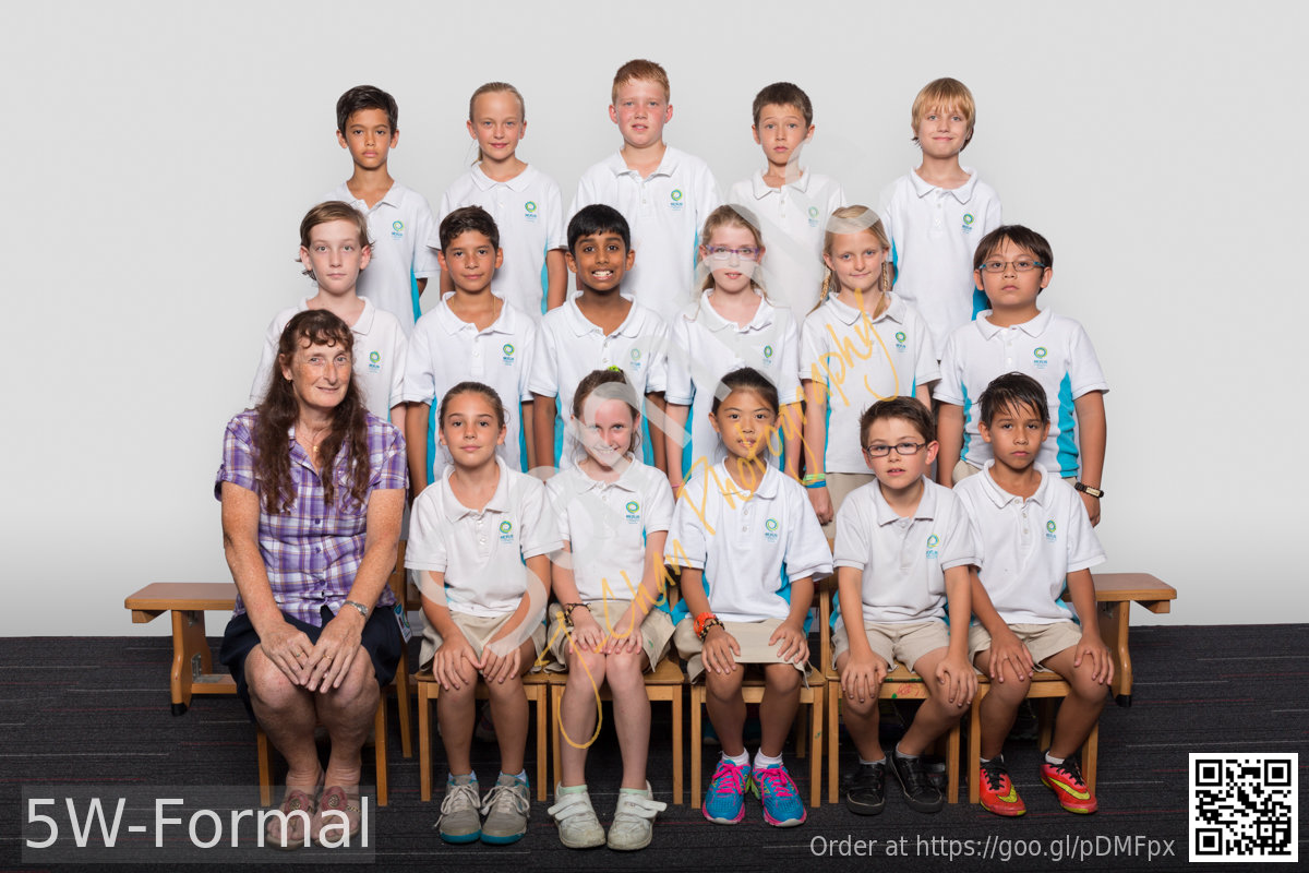 5W Formal