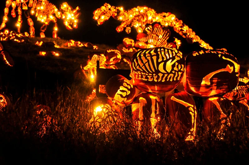Pumpkin Dinos.jpg